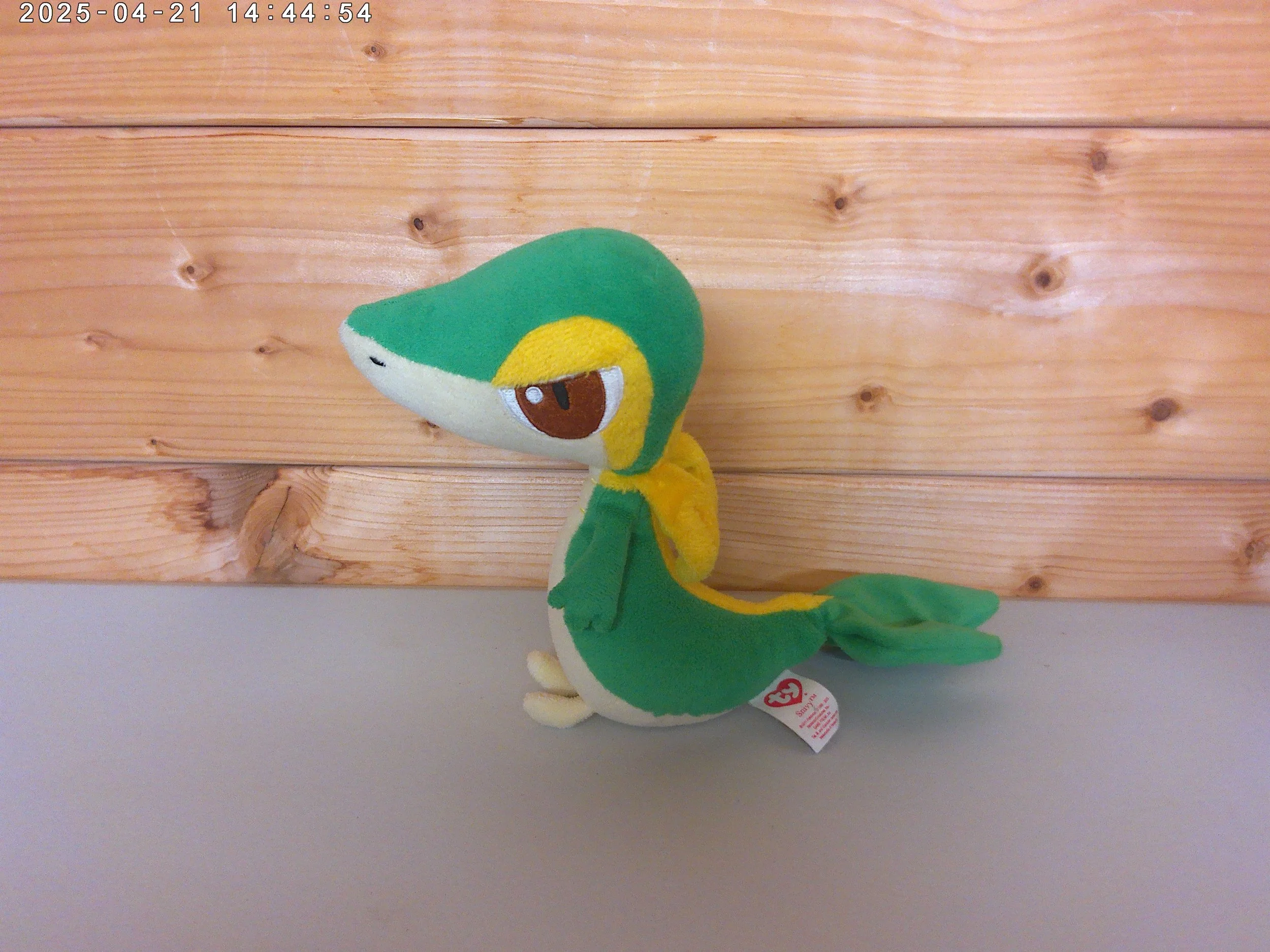 Snivy - photo 4.jpg