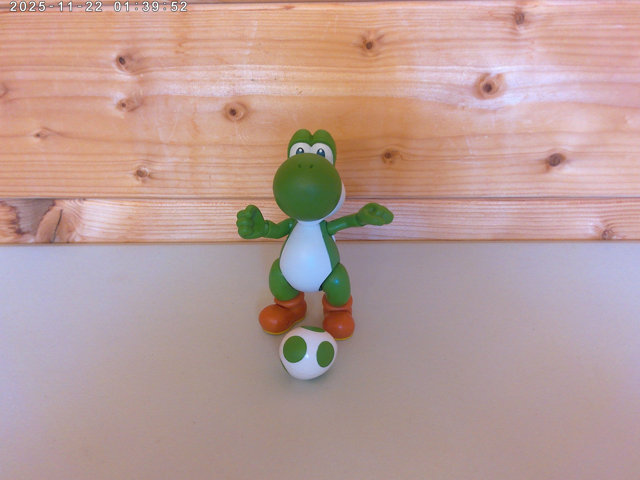Yoshi & egg - photo 3.jpg