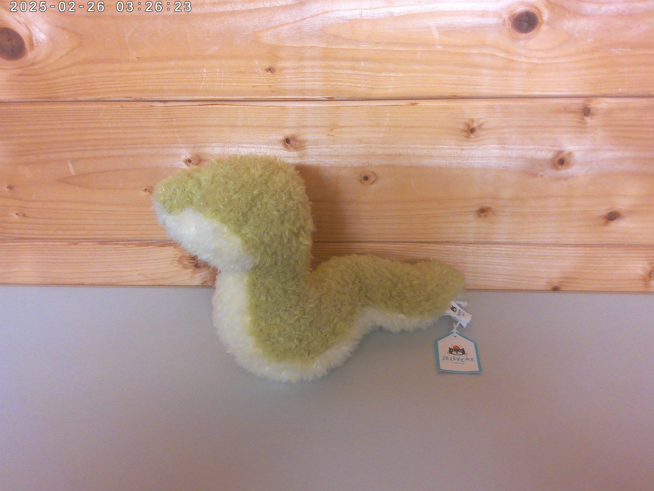 Snake  - photo 2.jpg