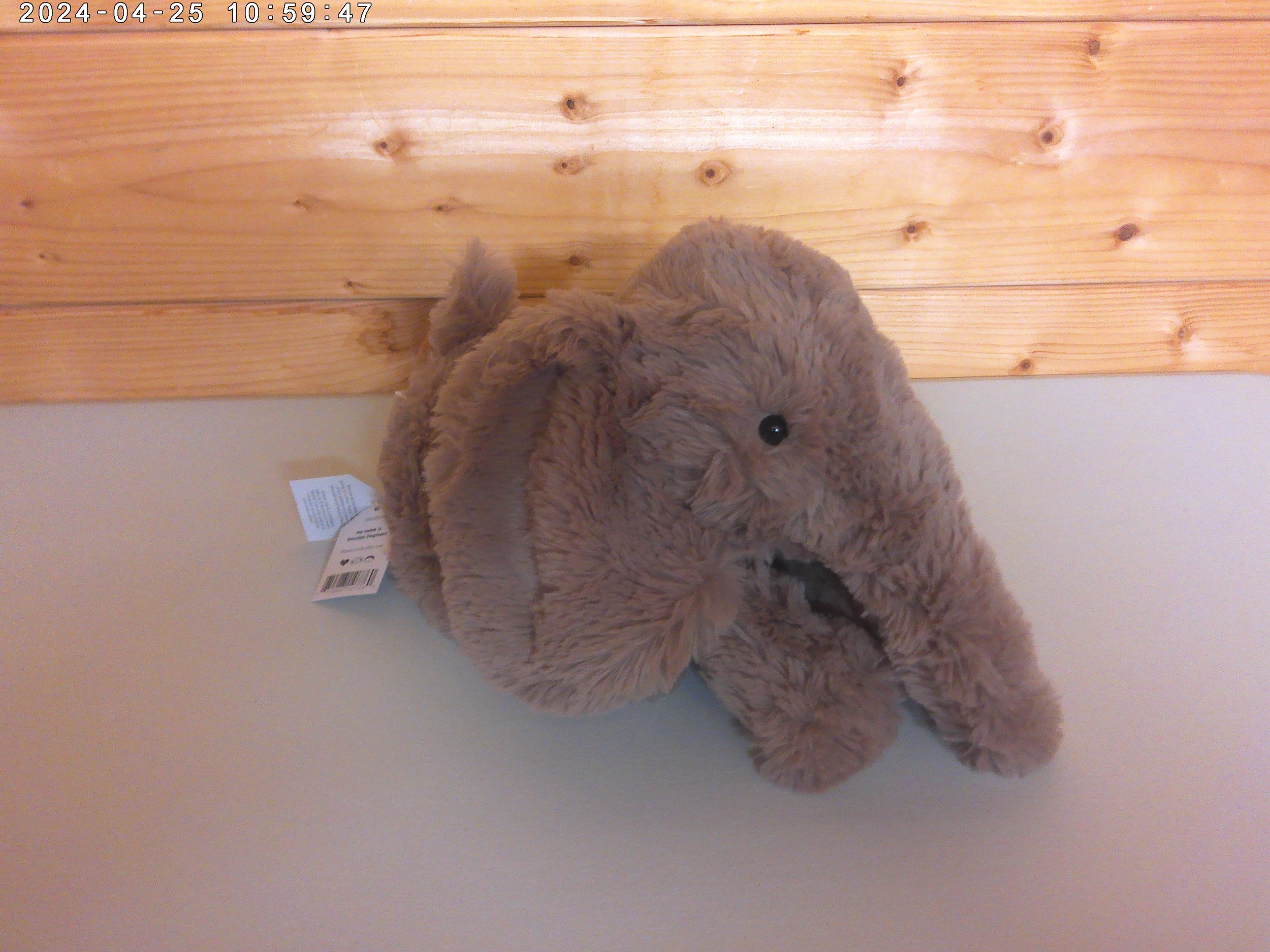 Smudge - photo 3.jpg