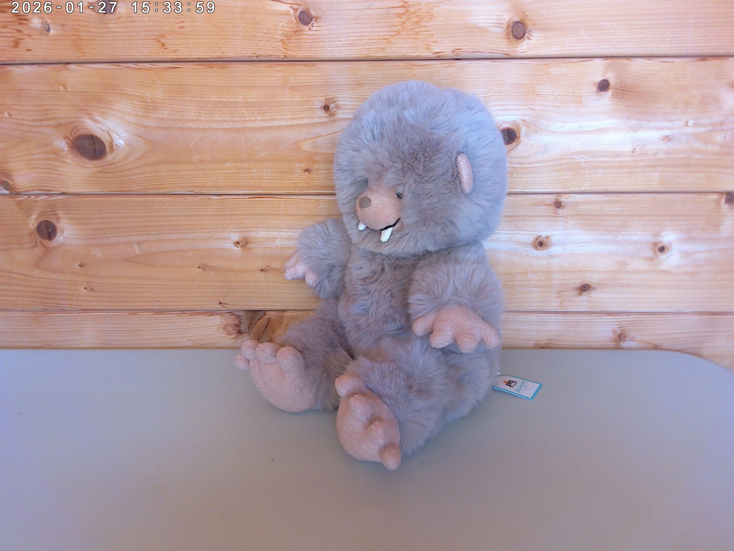 Bigfoot - photo 4.jpg