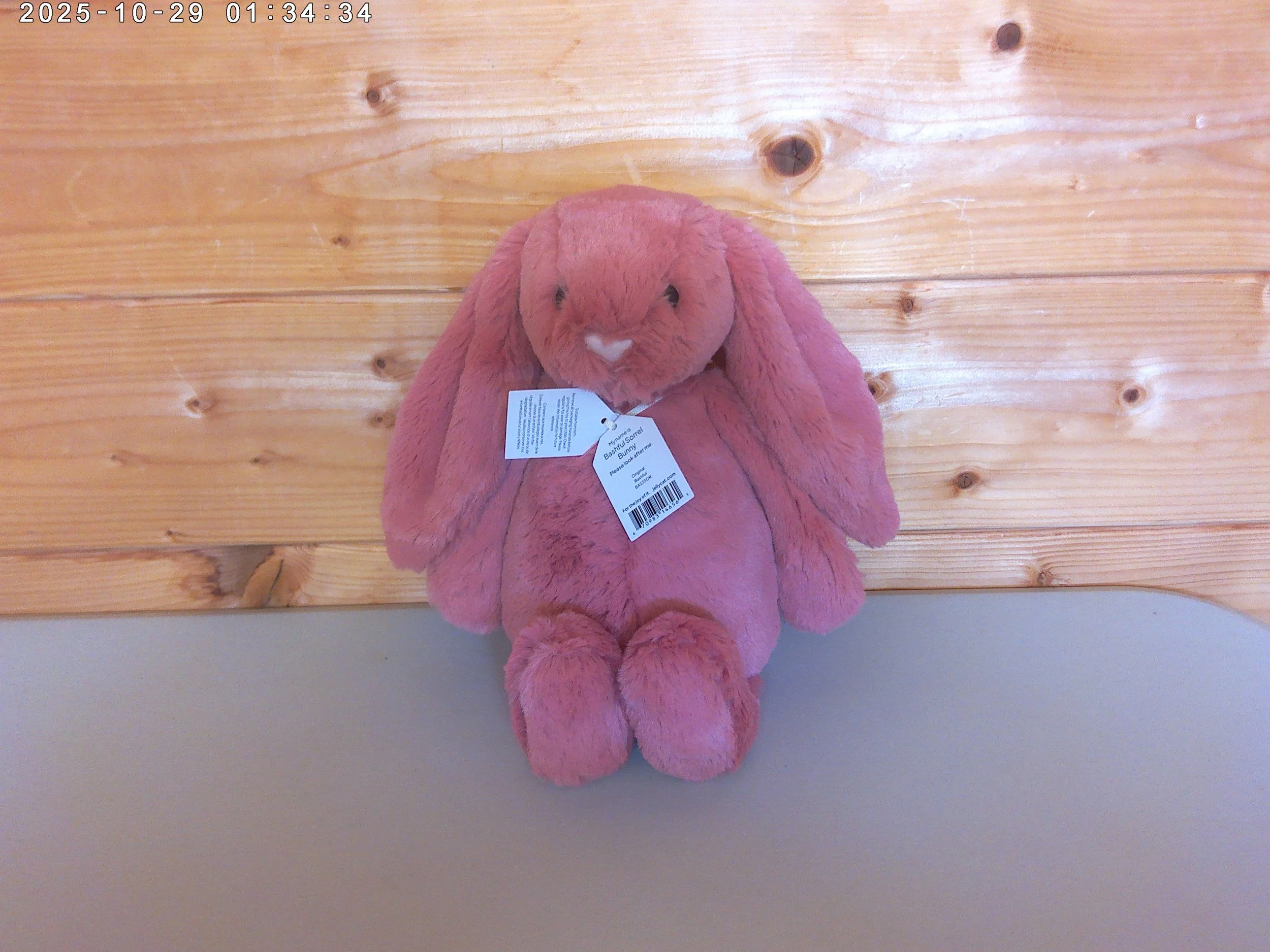 Sorrel - photo 2.jpg