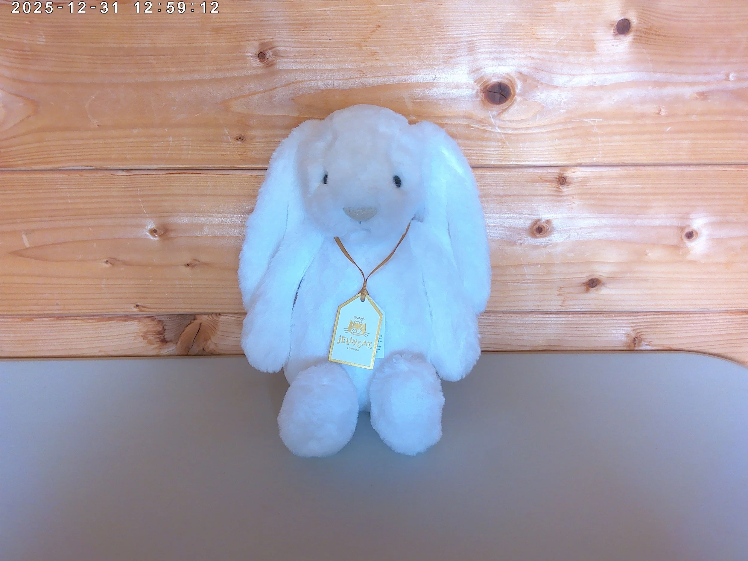Luna - photo 1.jpg