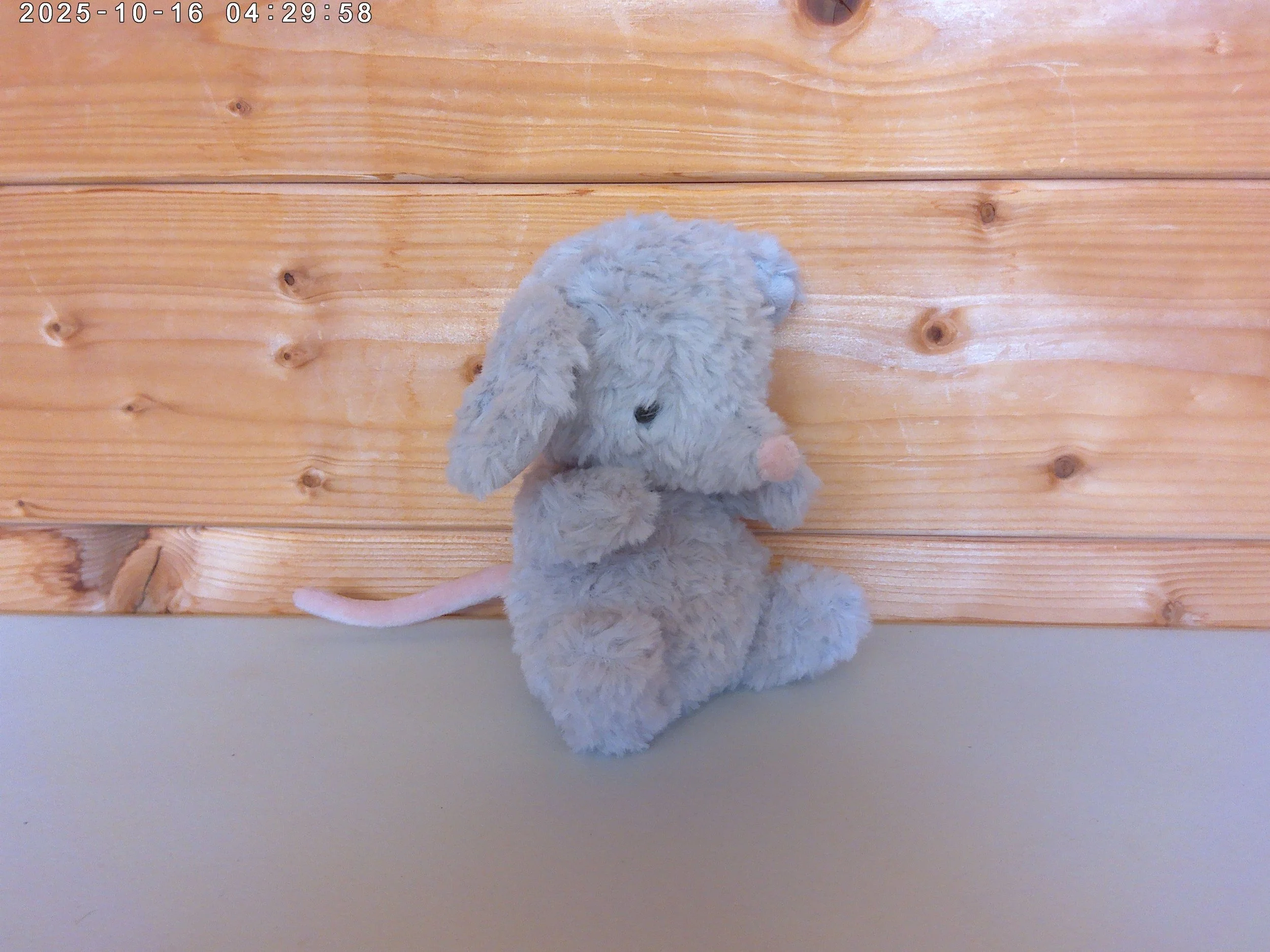 Yummy mouse - photo 3.jpg