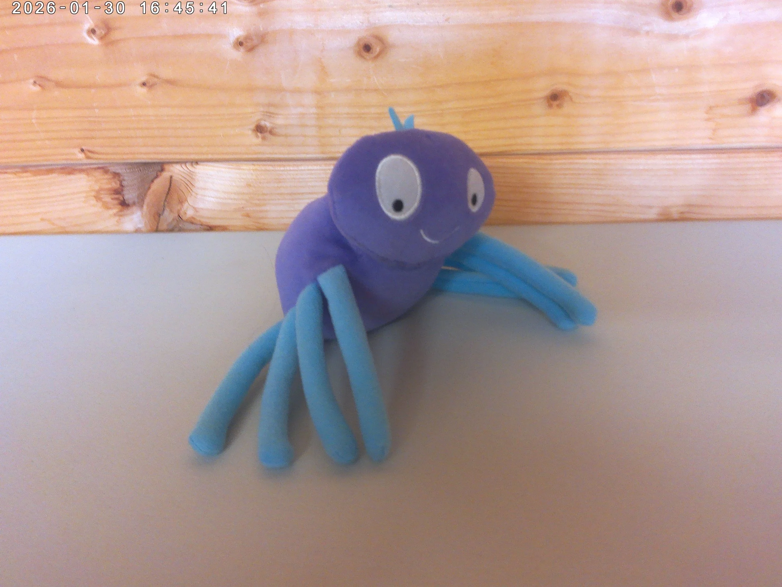 Incy wincy - photo 3.jpg