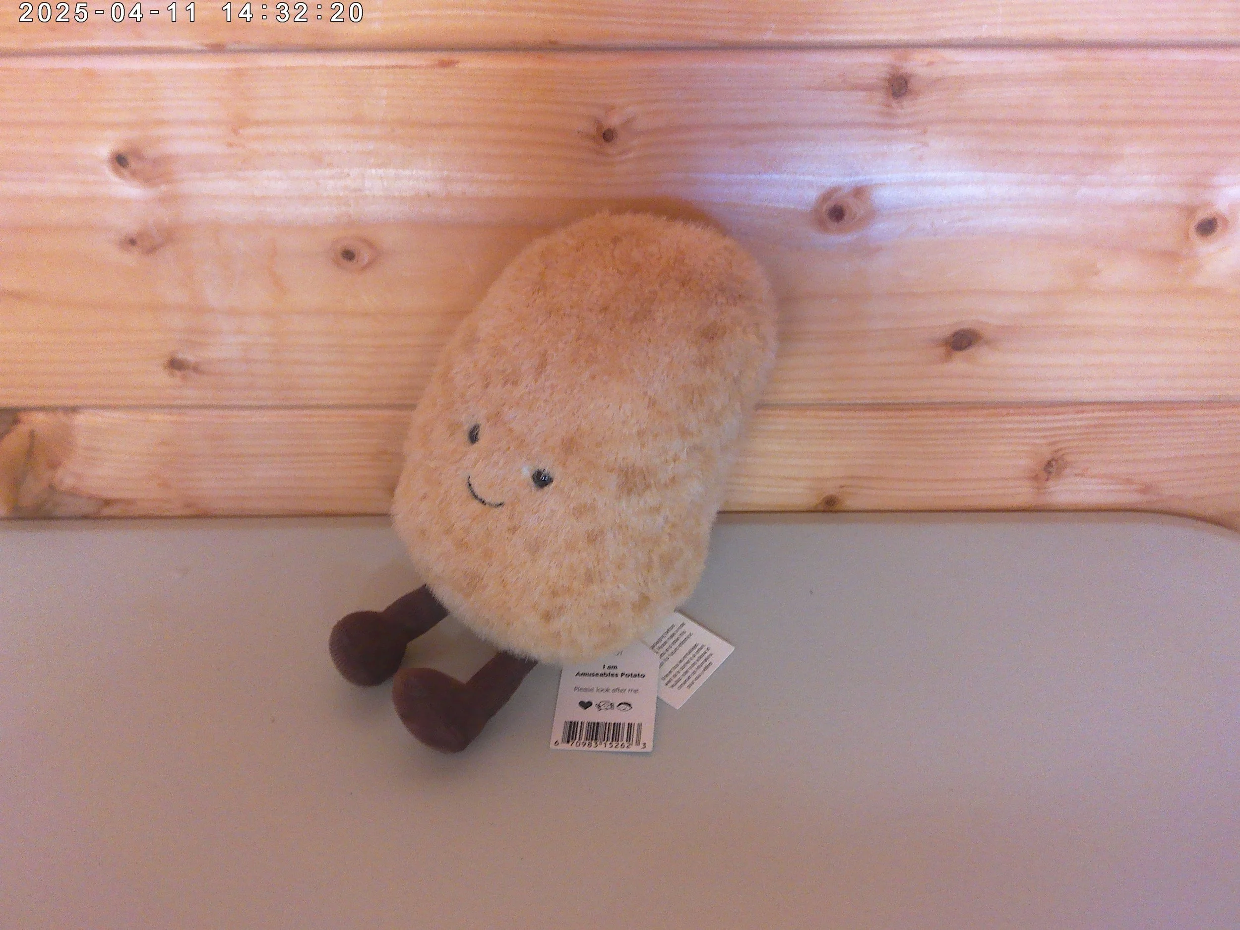 Potato - photo 2.jpg