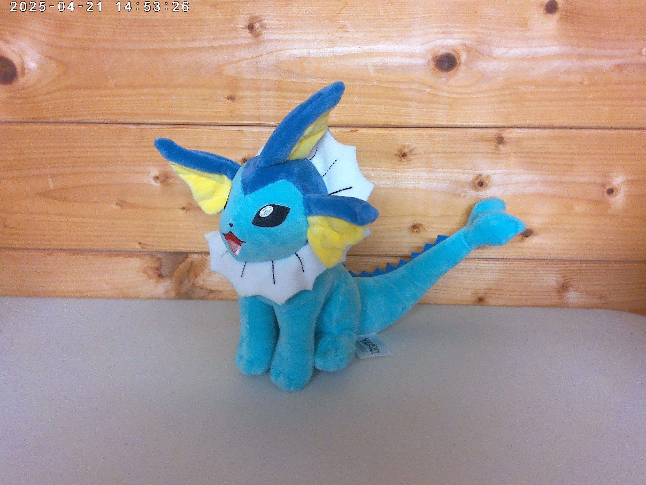 Vapoureon - photo 1.jpg