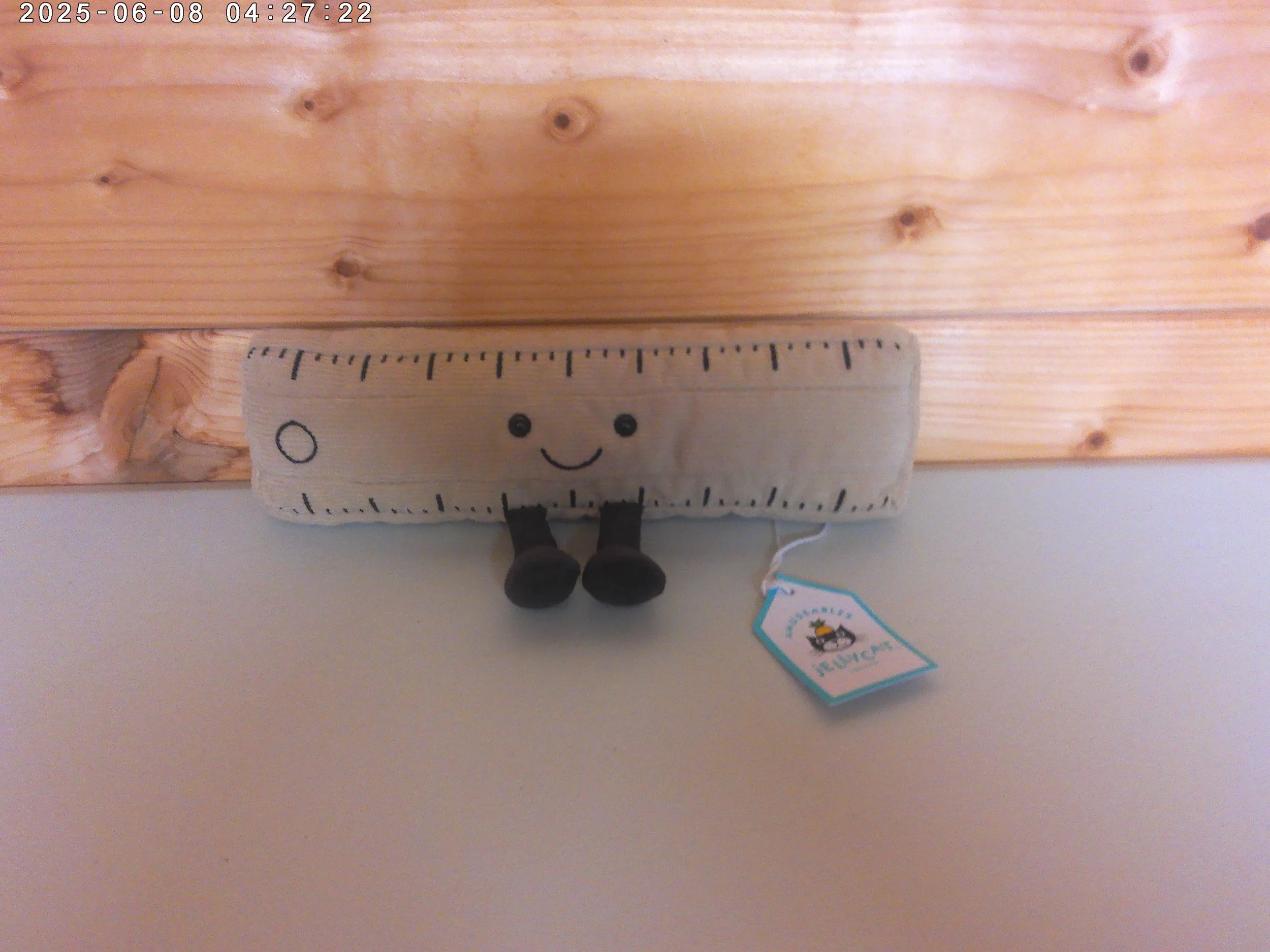 Ruler - photo 1.jpg