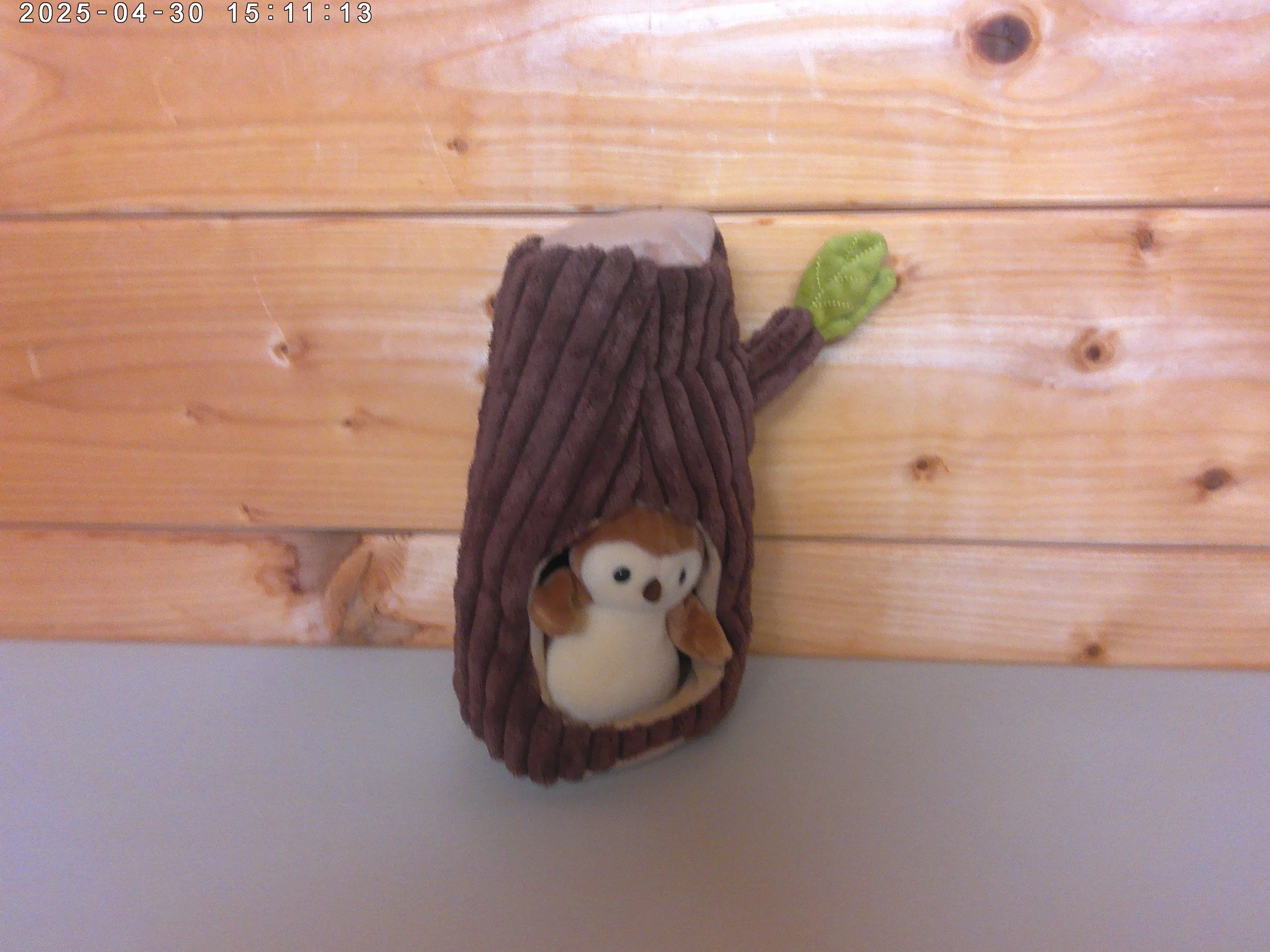 Fauna owl - photo 3.jpg