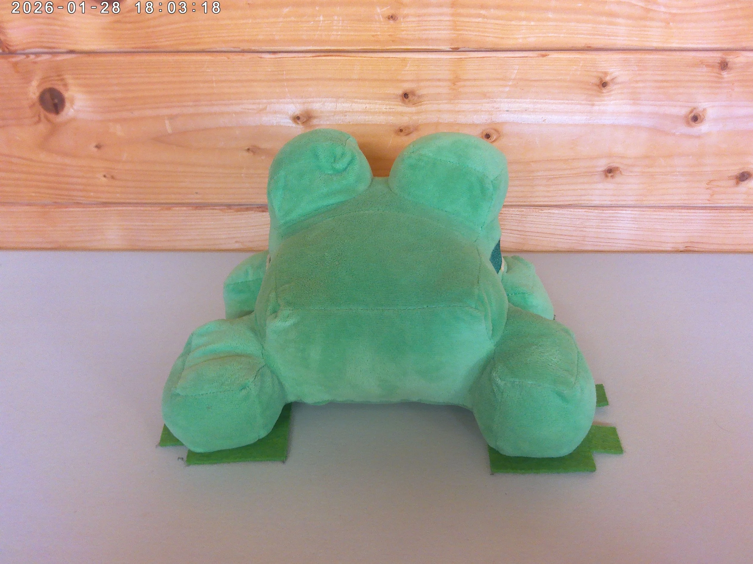 Frog Green - photo 2.jpg