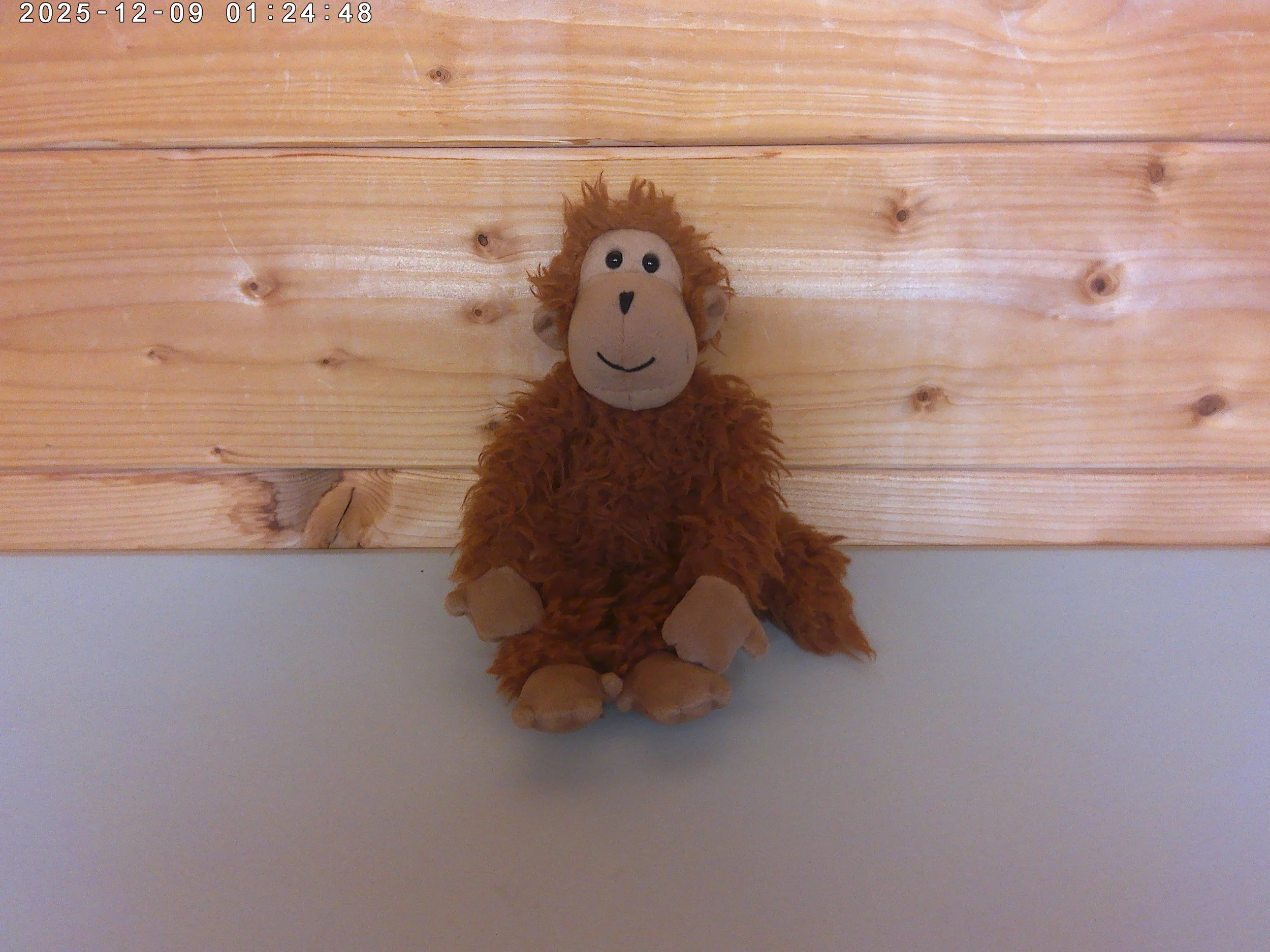 Jellycat Bonbon Monkey - Retired