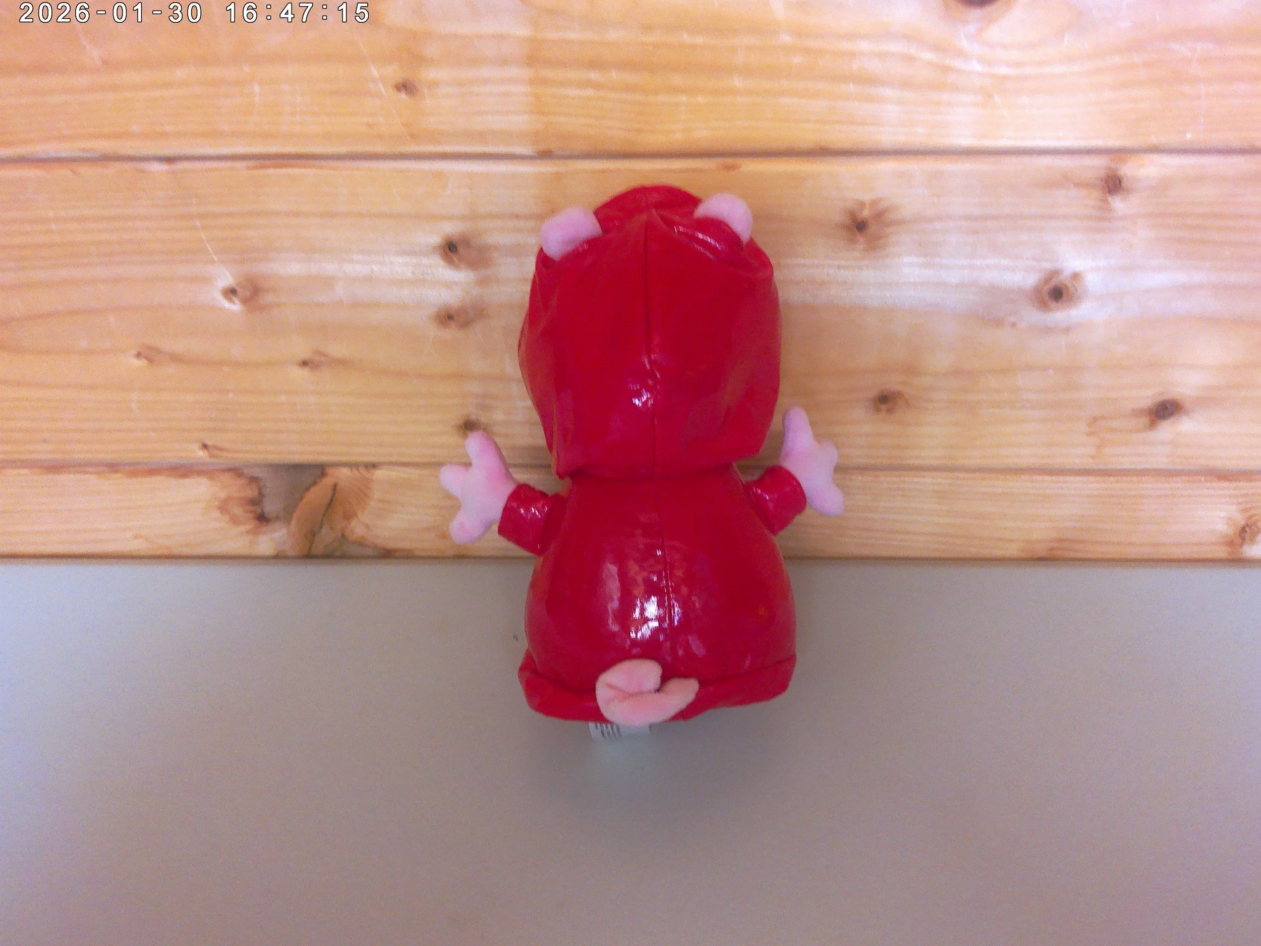 Peppa raincoat - photo 2.jpg