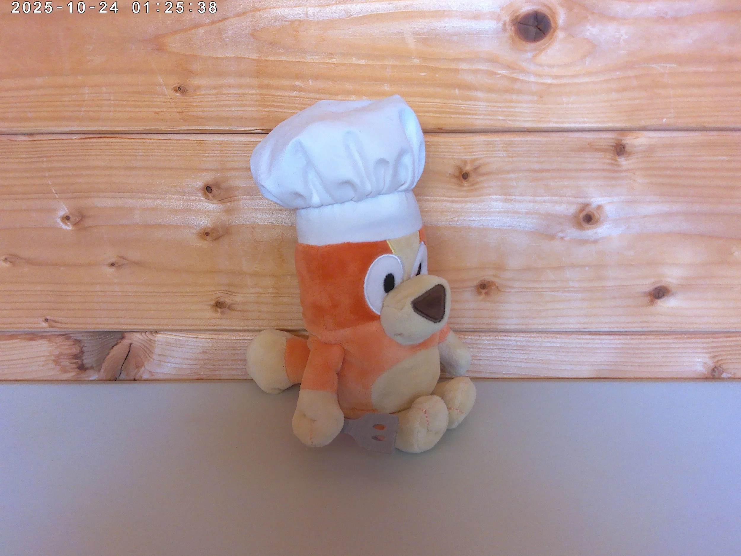 Bingo Chef - photo 2.jpg