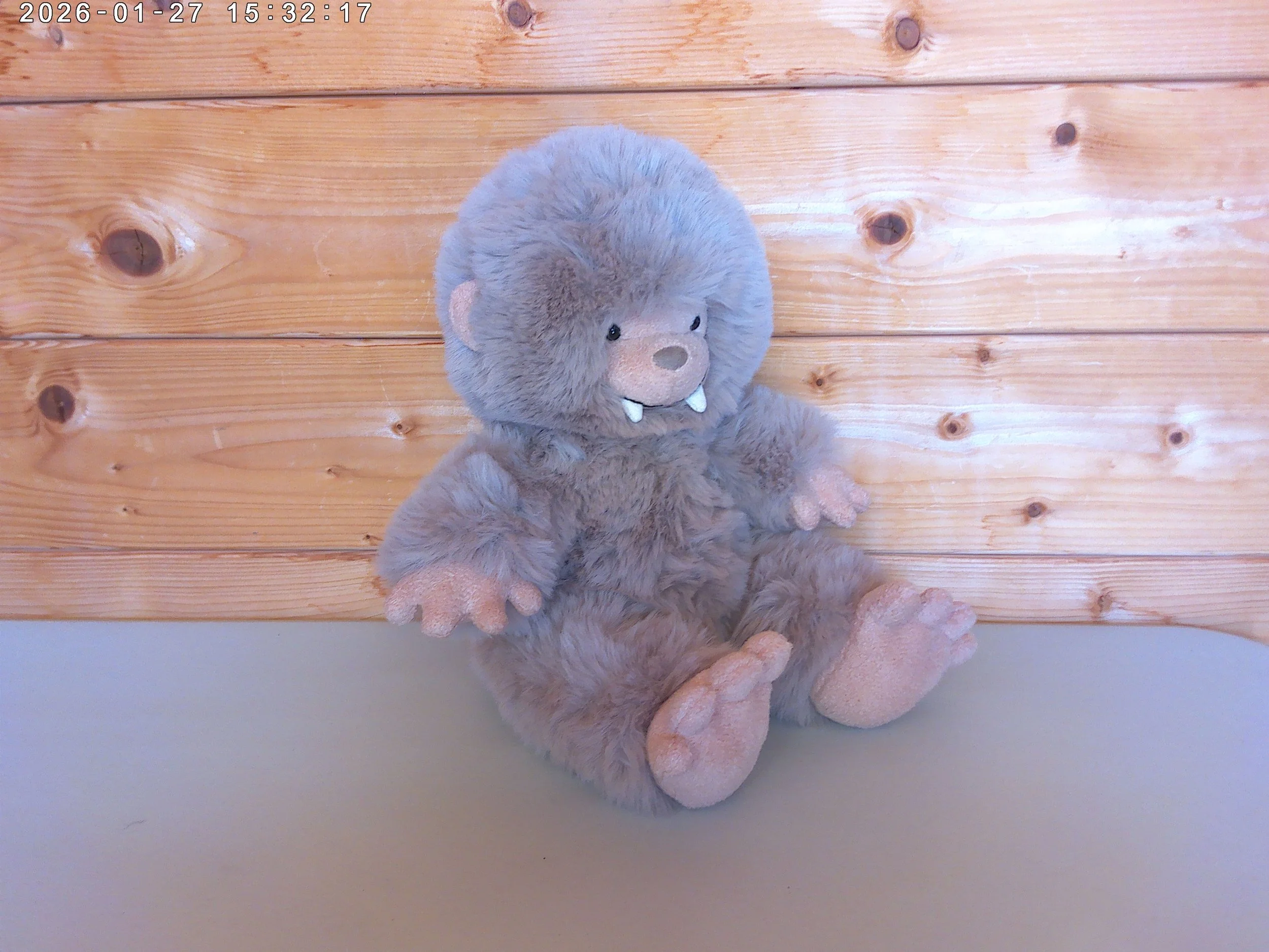 Bigfoot photo 5.jpg