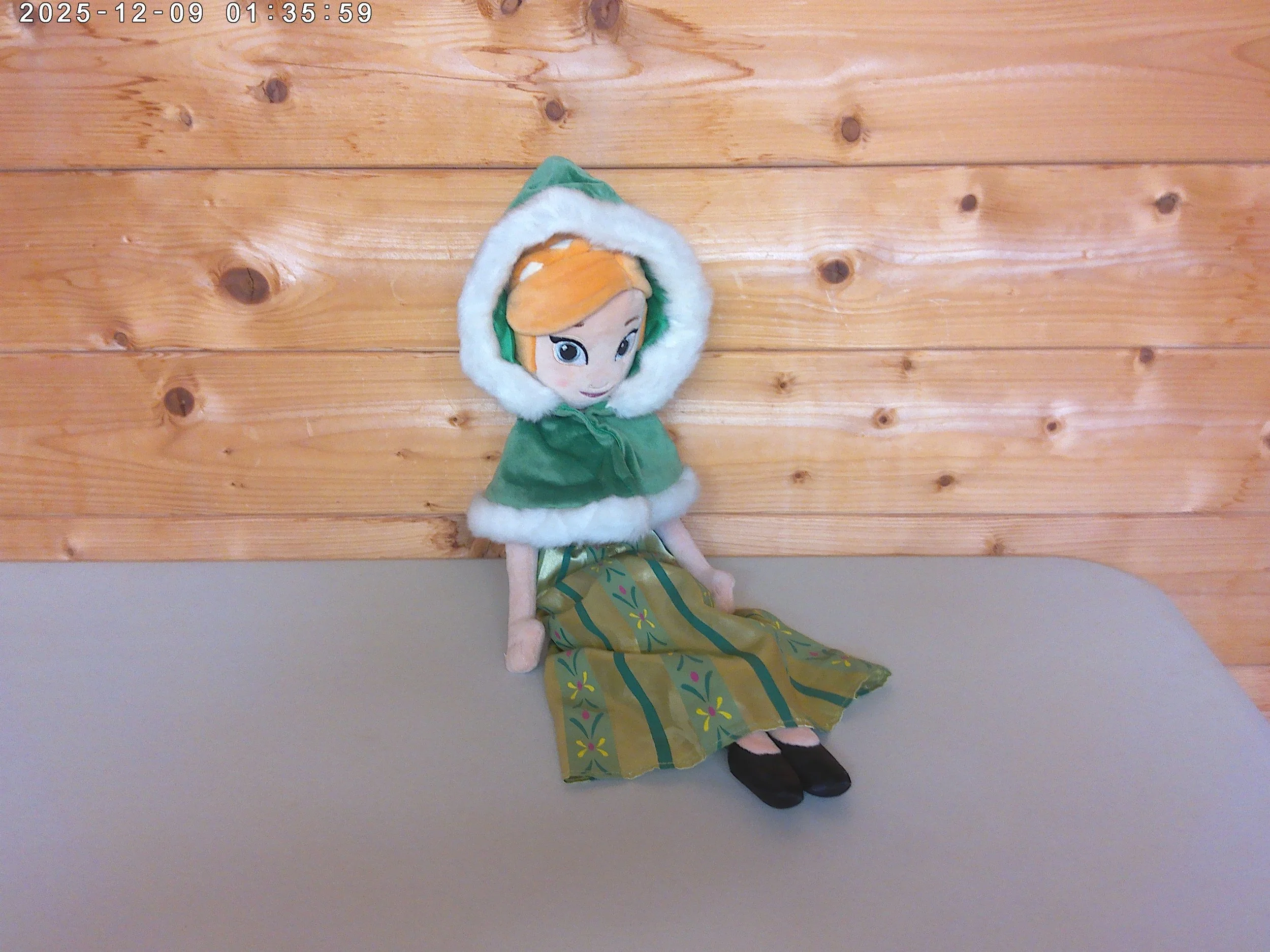 Disney Frozen Anna Plush (2)