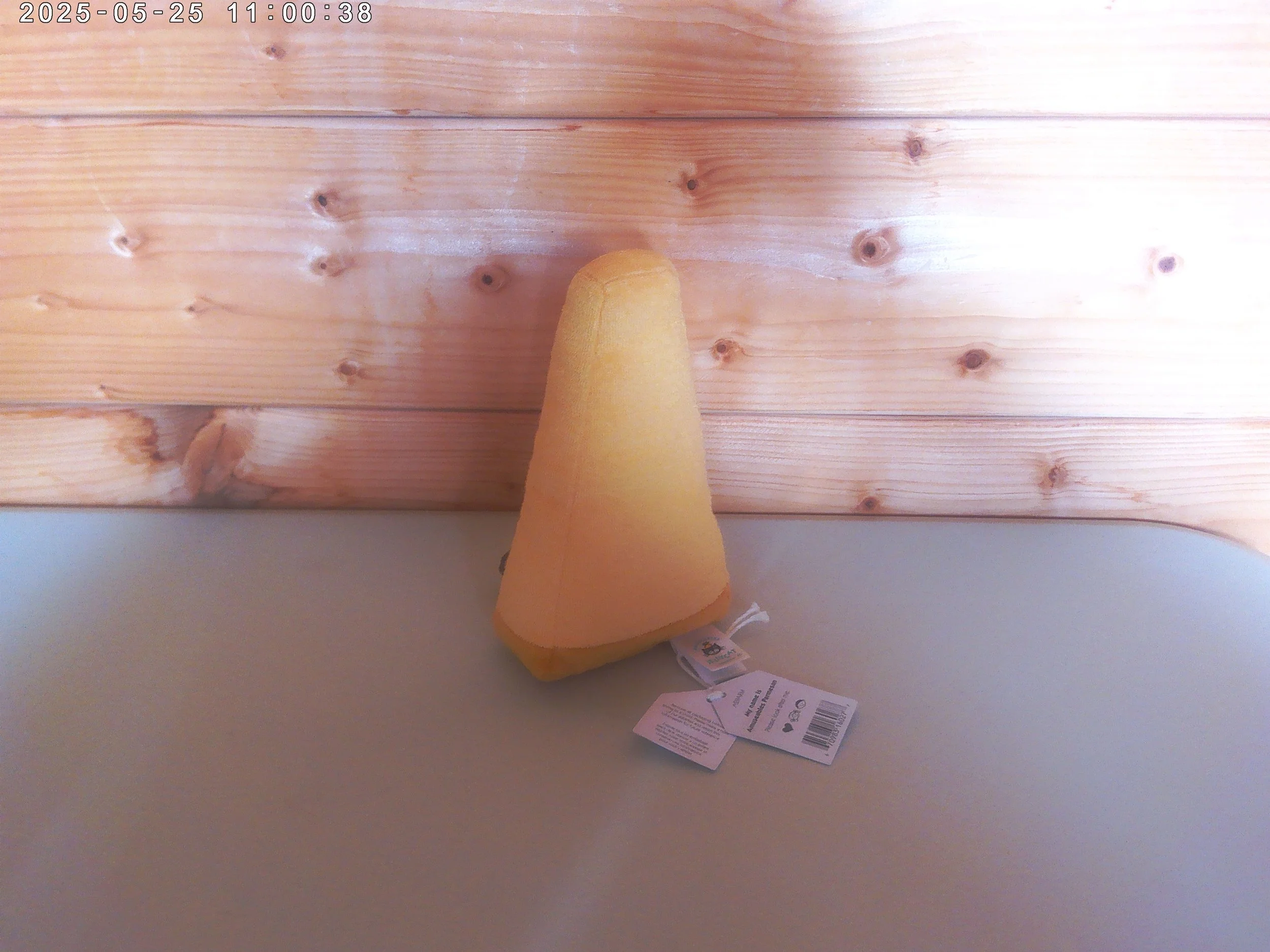 Parmesan - photo 2.jpg