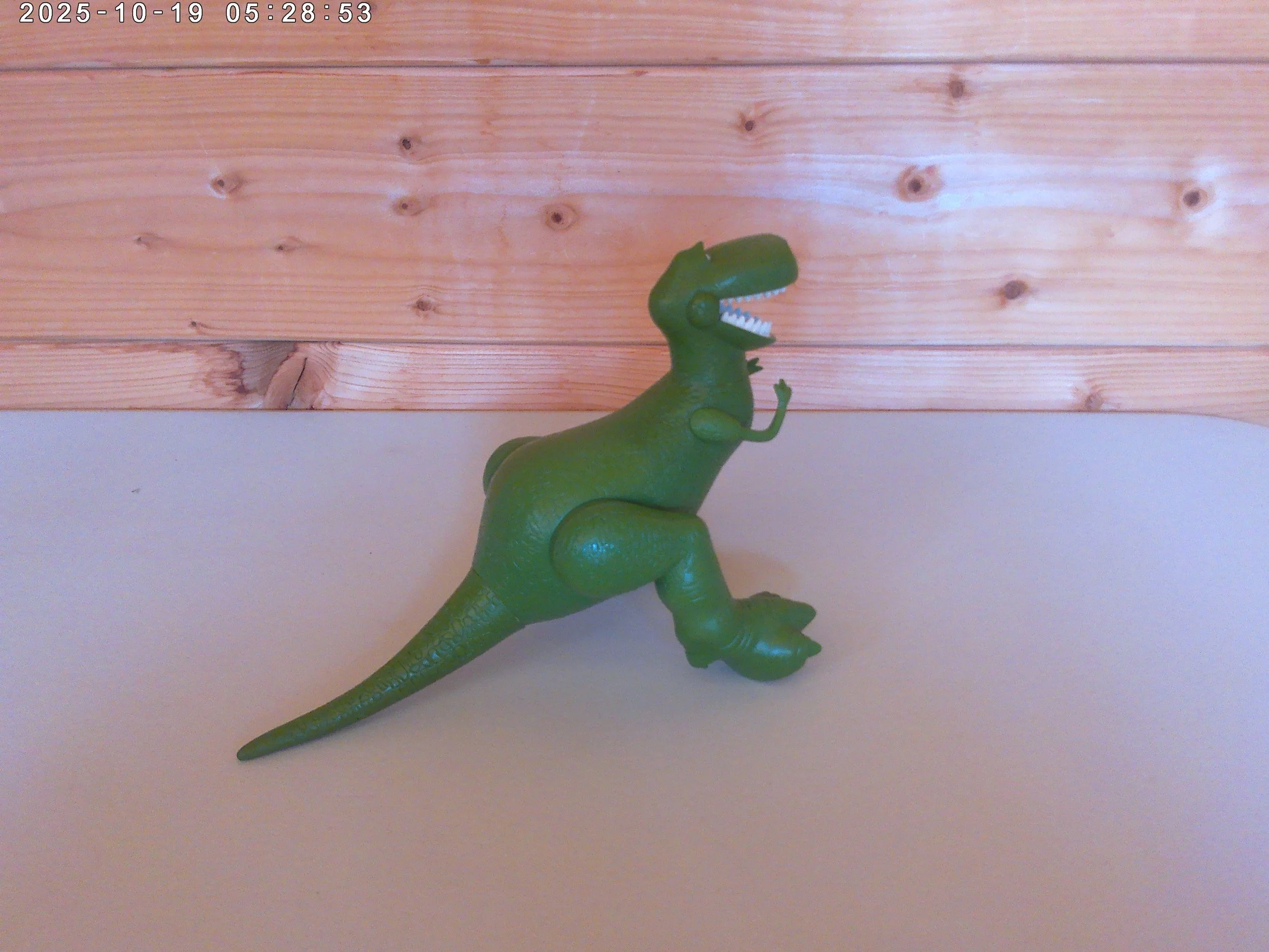 rex - photo 4.jpg