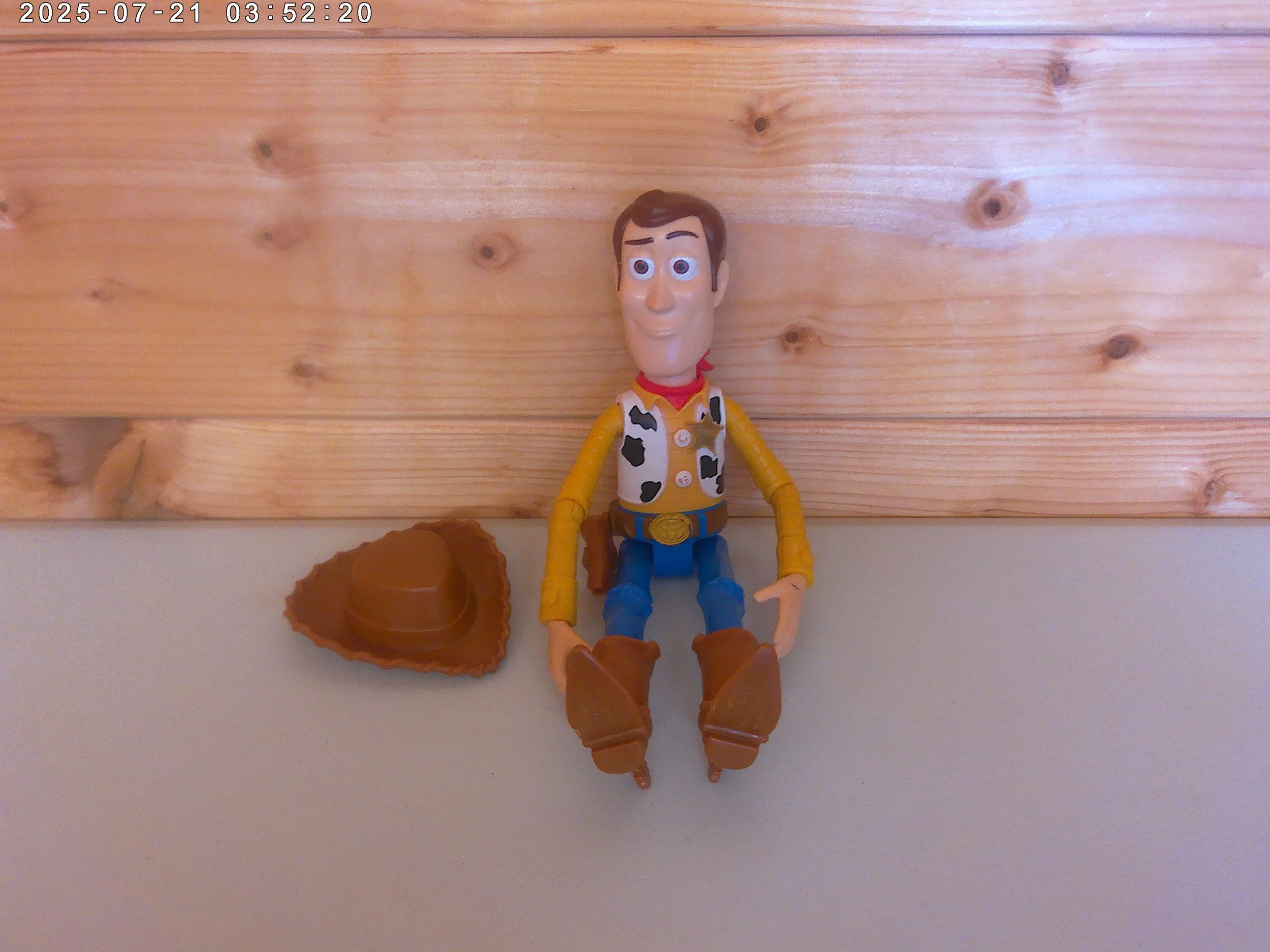 Woody - photo 4.jpg