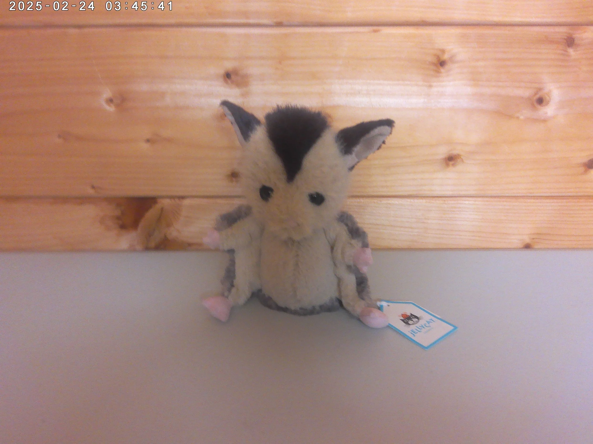 Suger Glider - photo 1.jpg