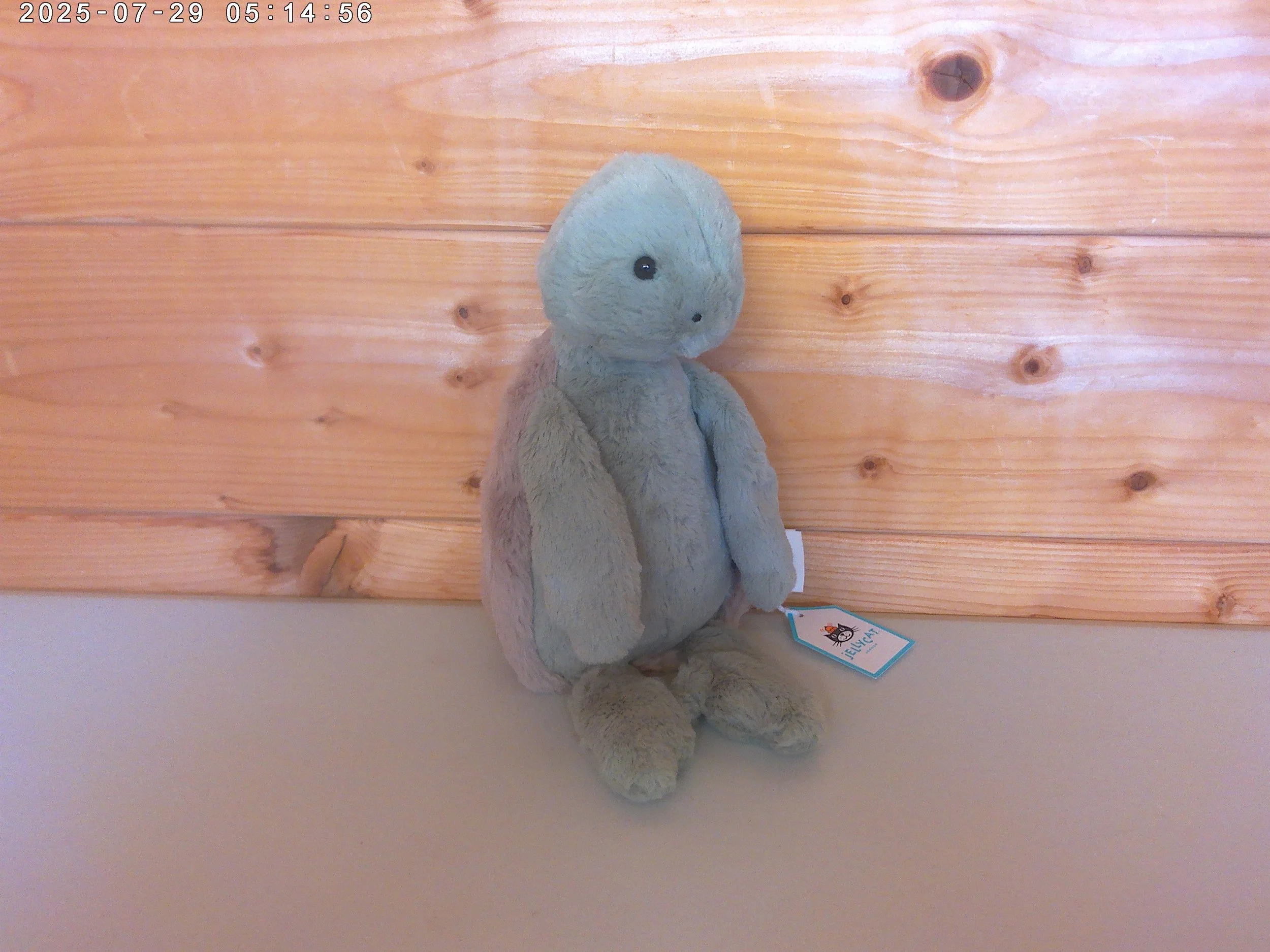 Jellycat Bashful Turtle - New