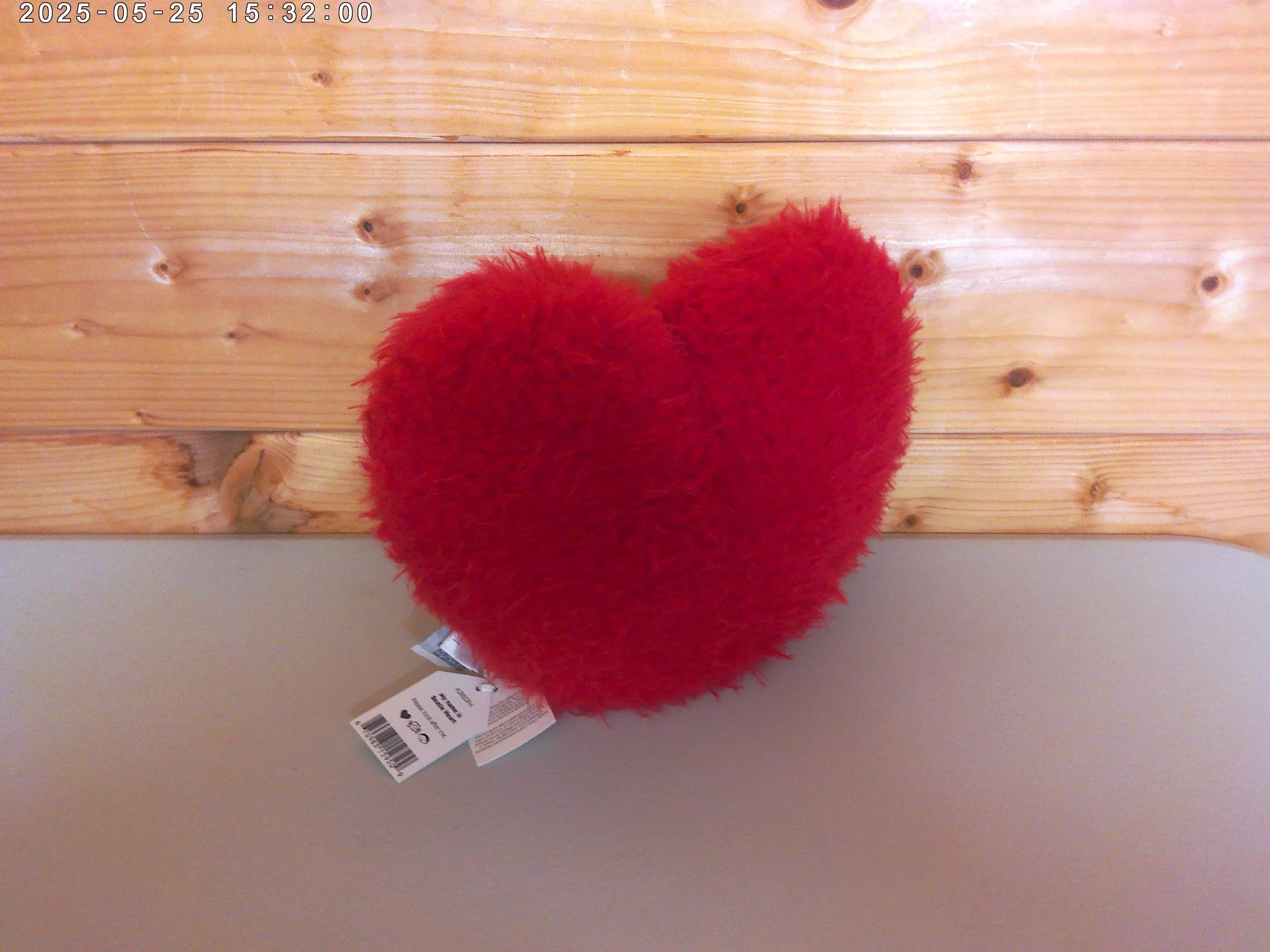 Heart - photo 2.jpg