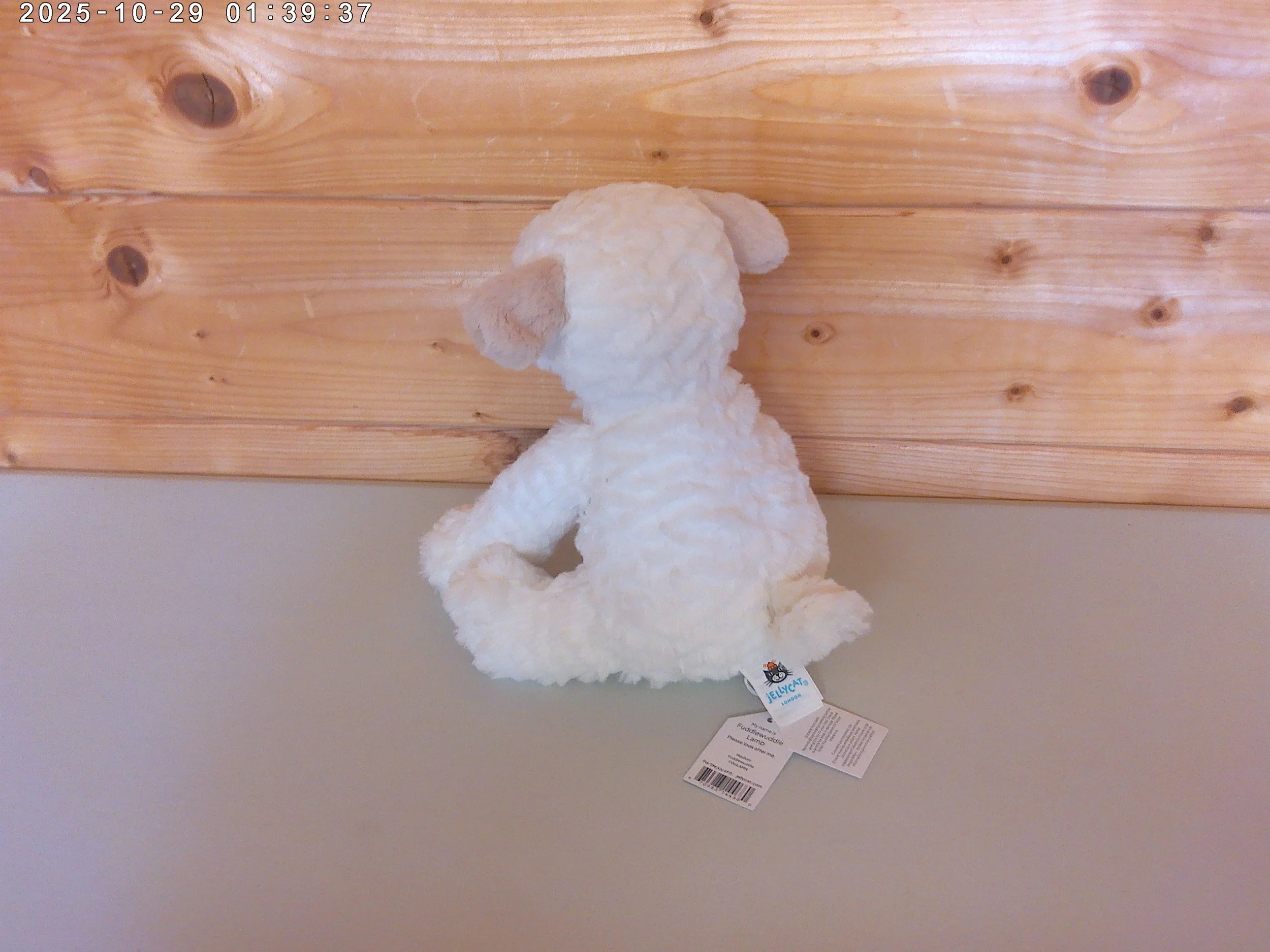 Fuddlewuddle lamb - photo 2.jpg