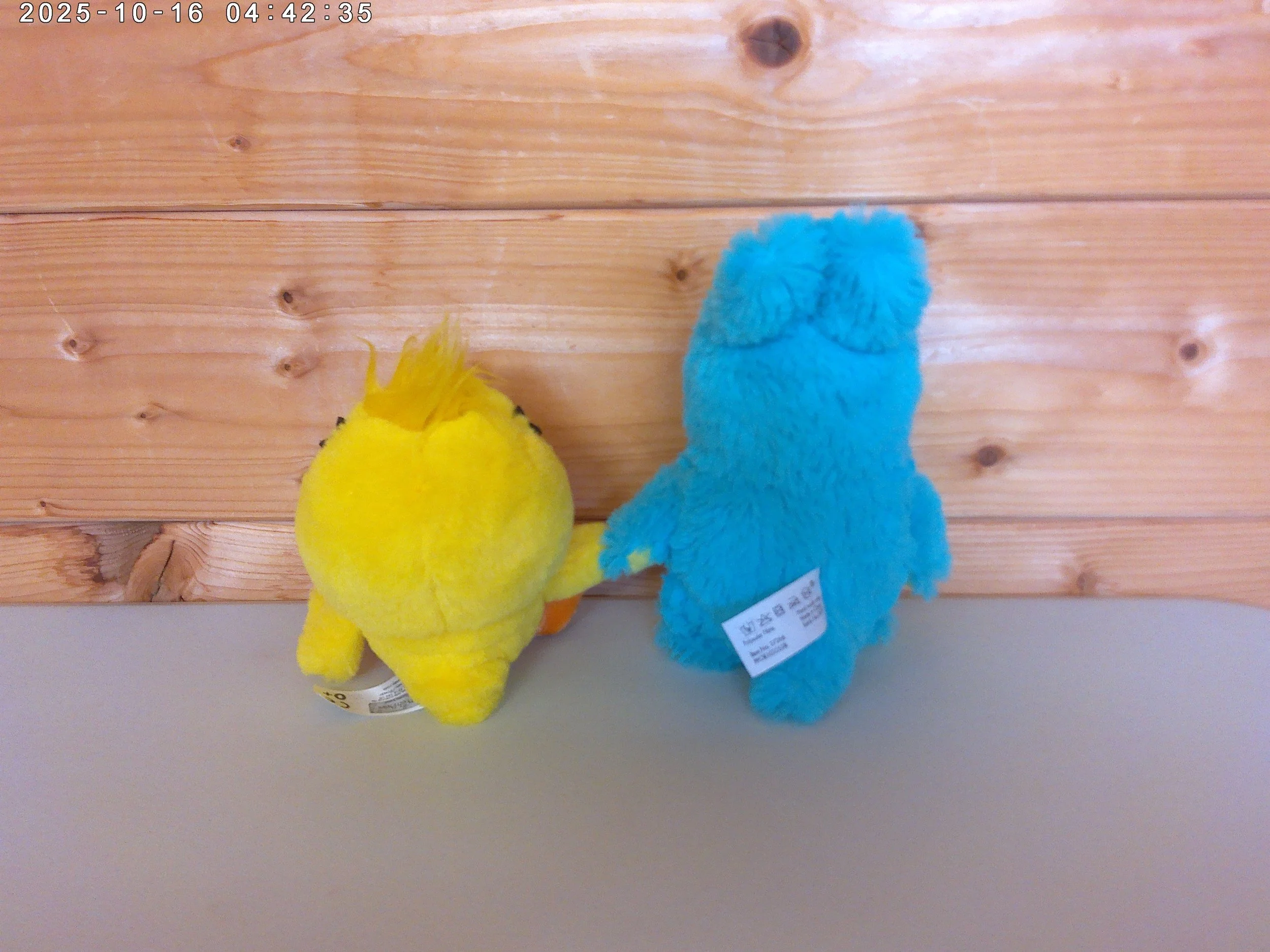 Bunny & ducky - photo 2.jpg