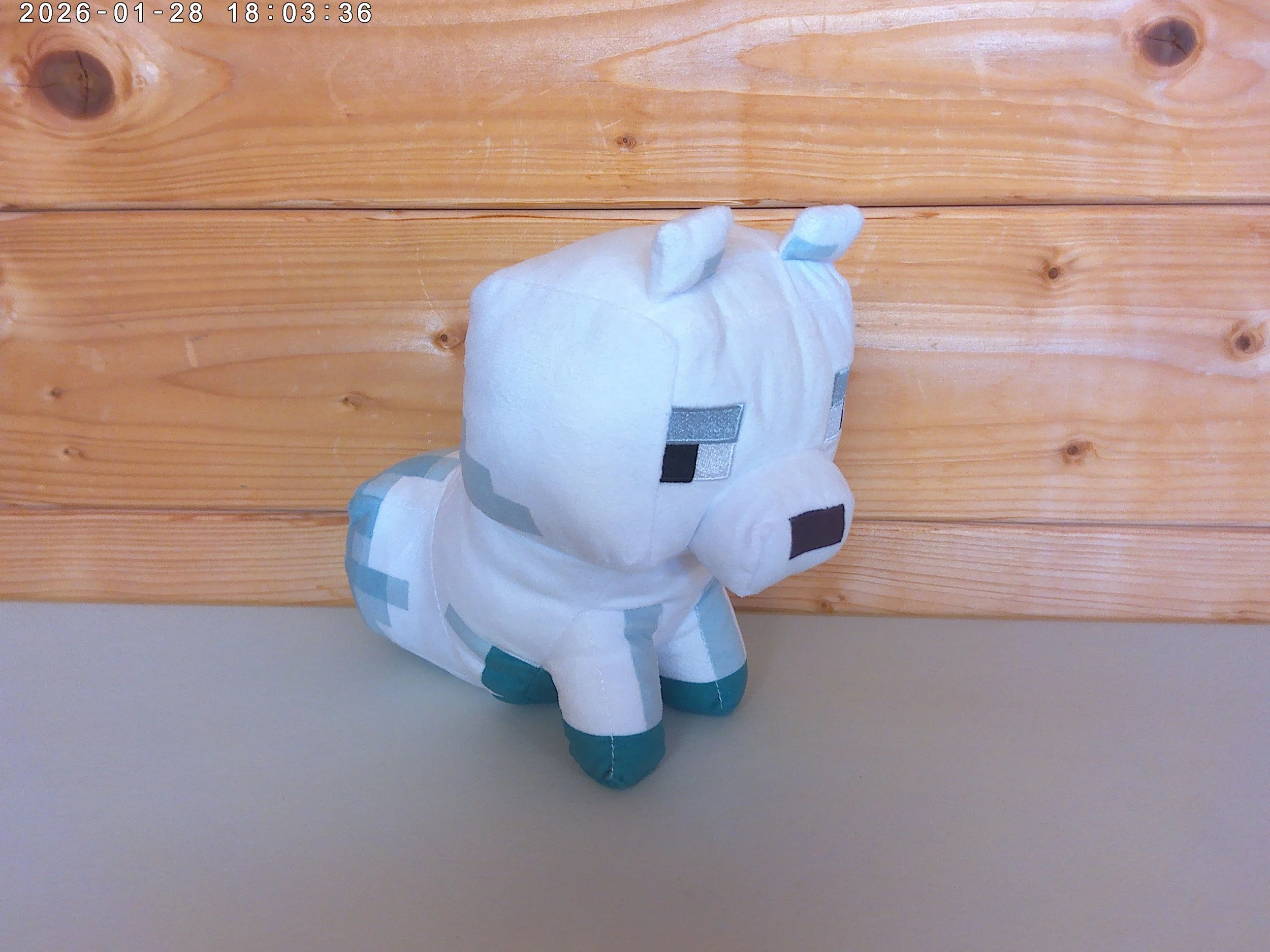 Artic Fox - photo 1.jpg