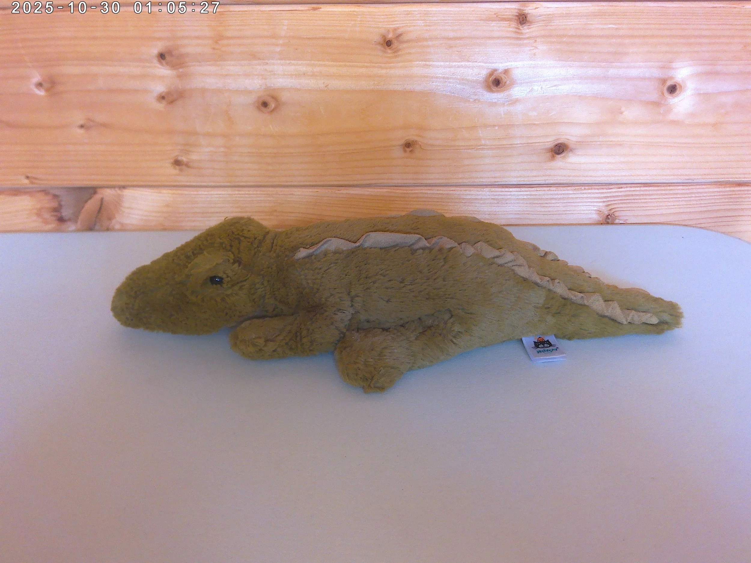 Lollybob croc - photo 2.jpg