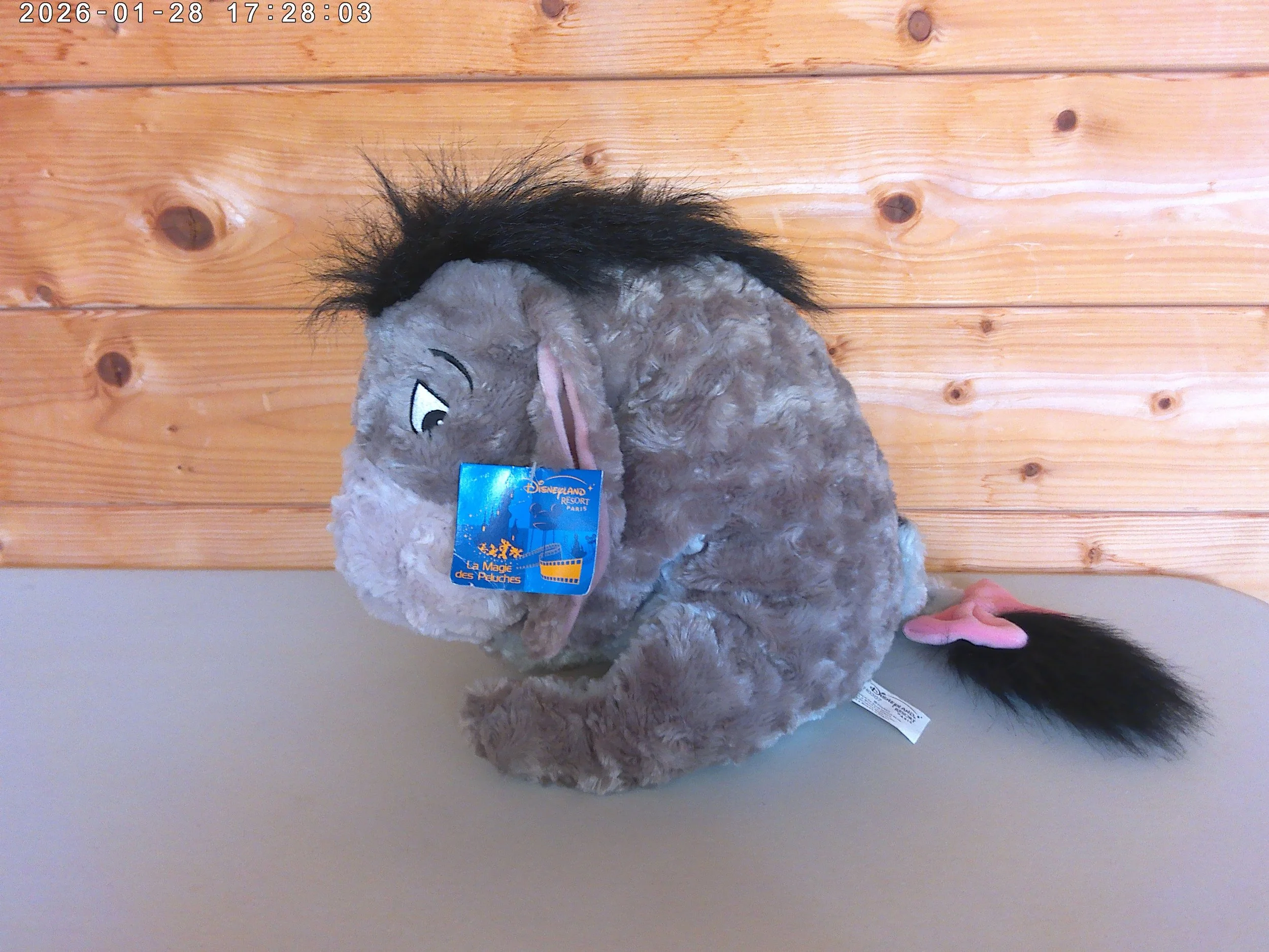 Eeyore - photo 2.jpg