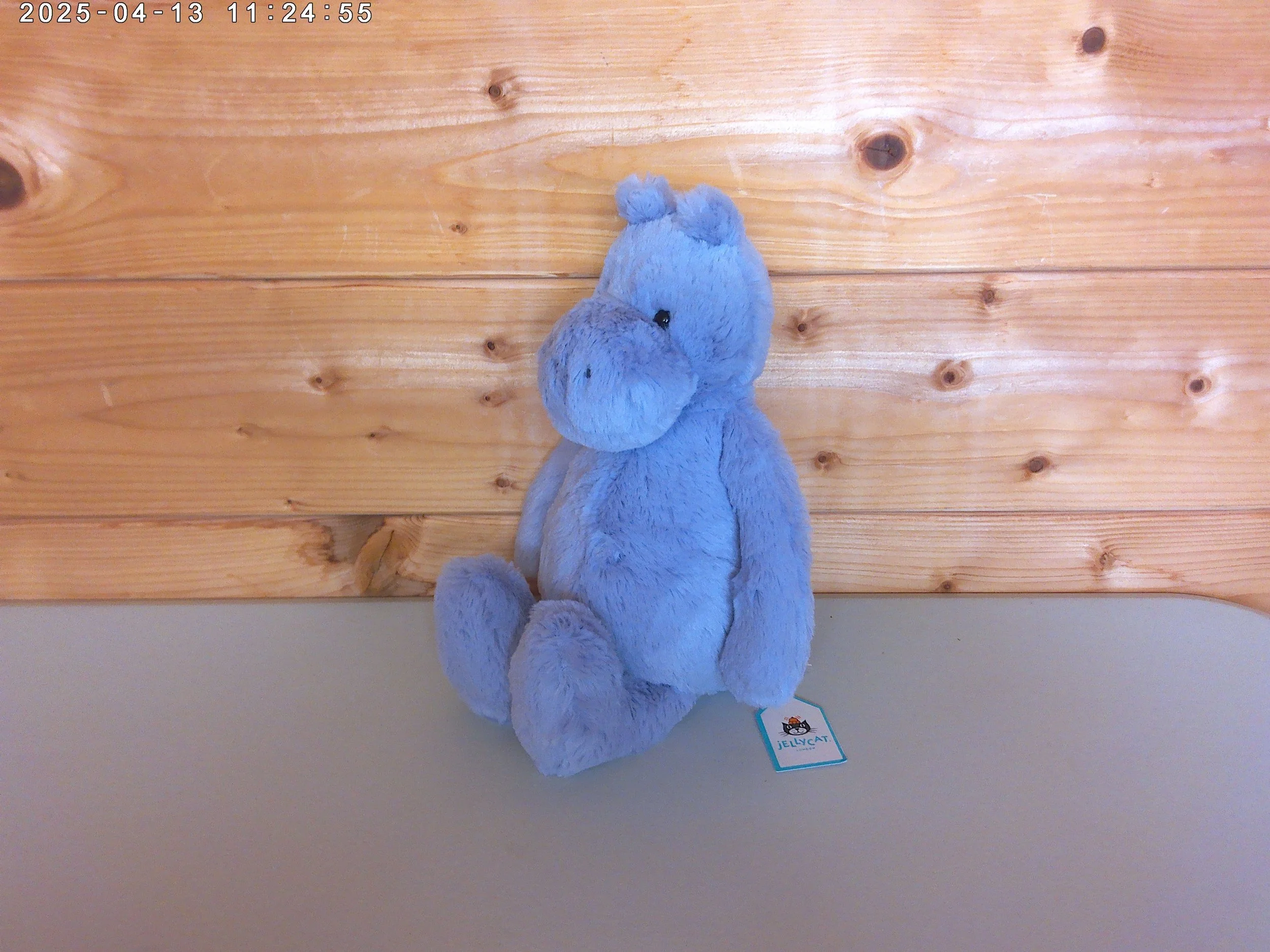 Bashful hippo - photo 3.jpg