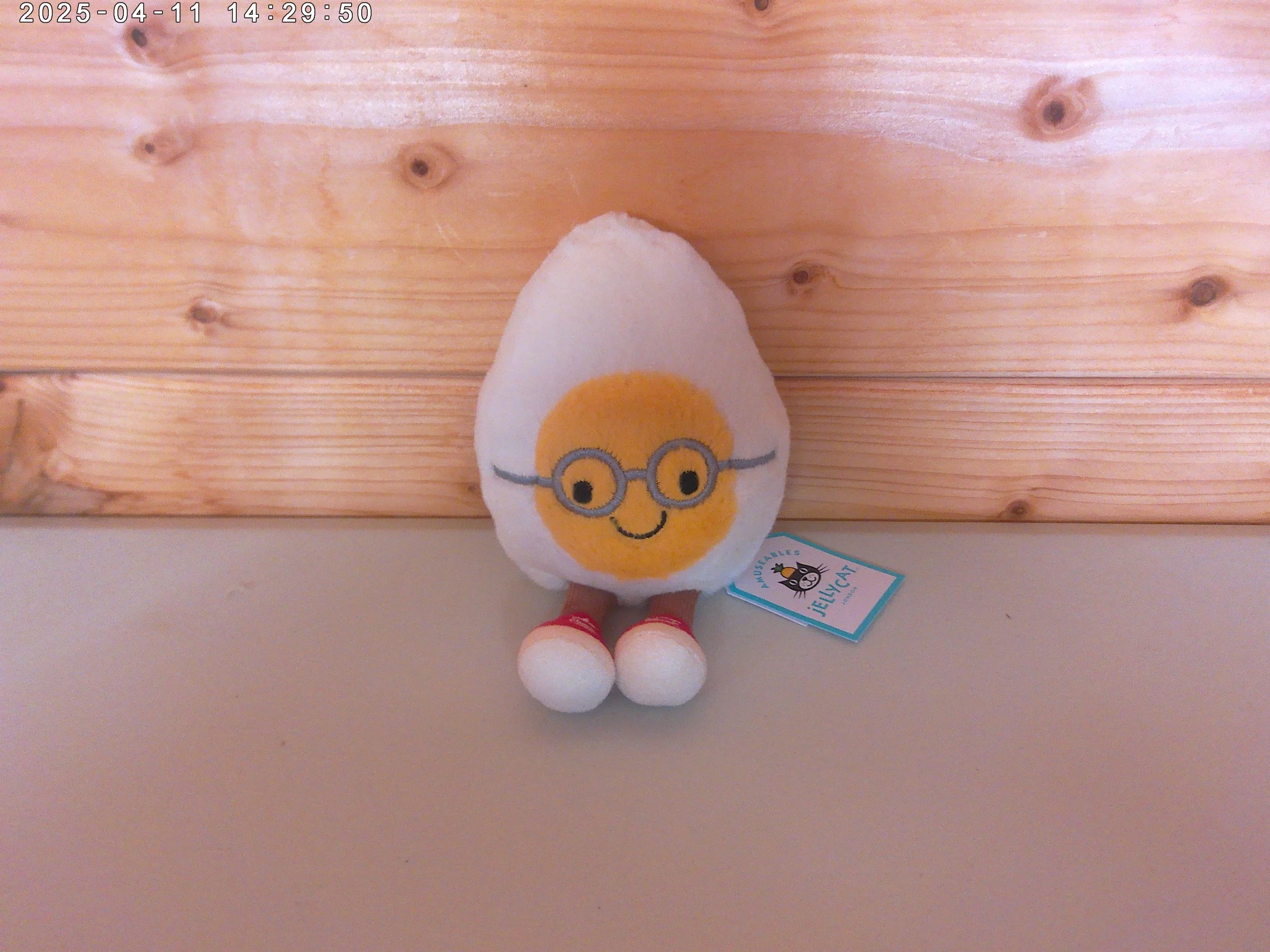 Geek egg - photo 1.jpg