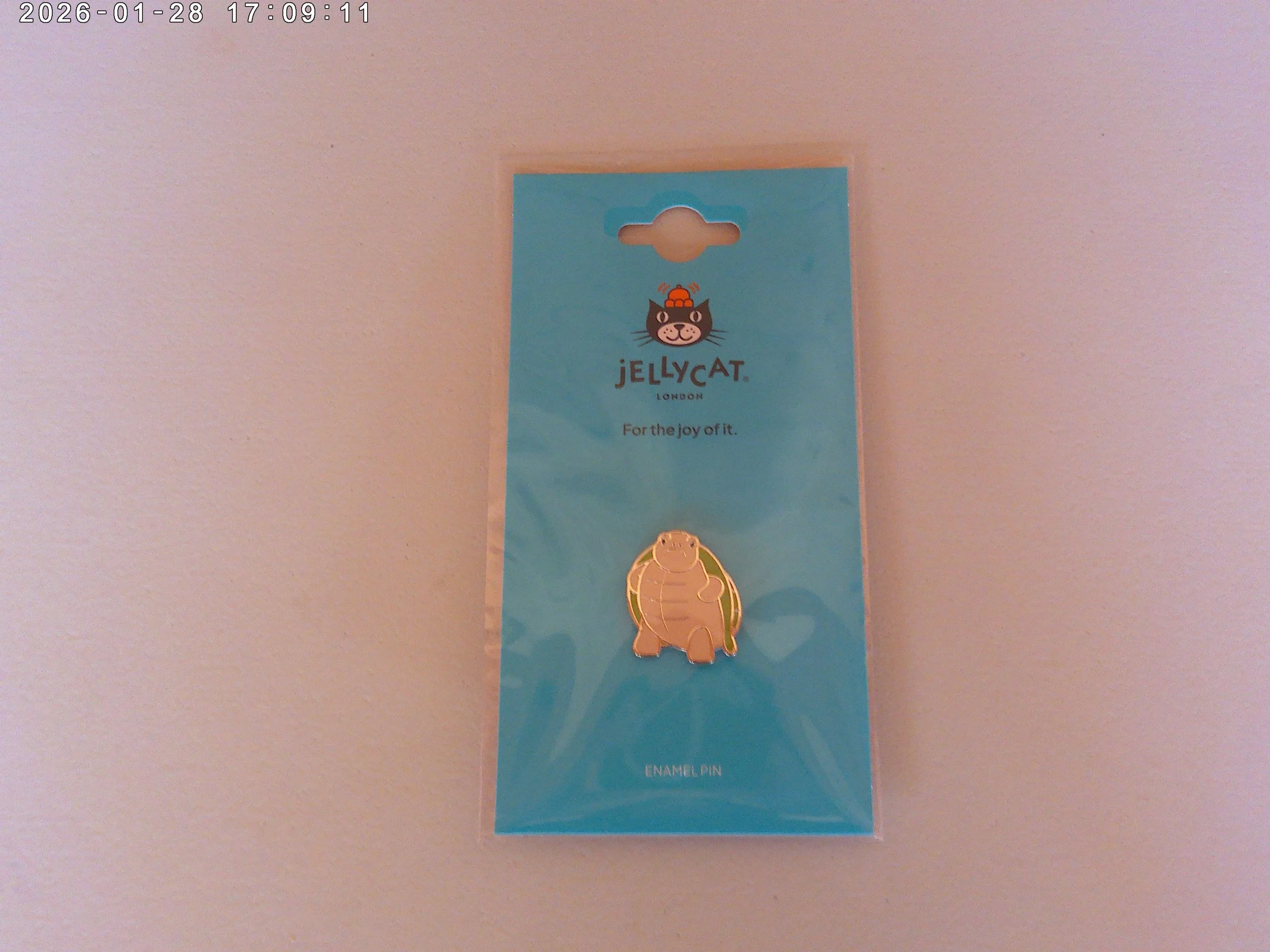 Timmy Turtle pin - photo 1.jpg