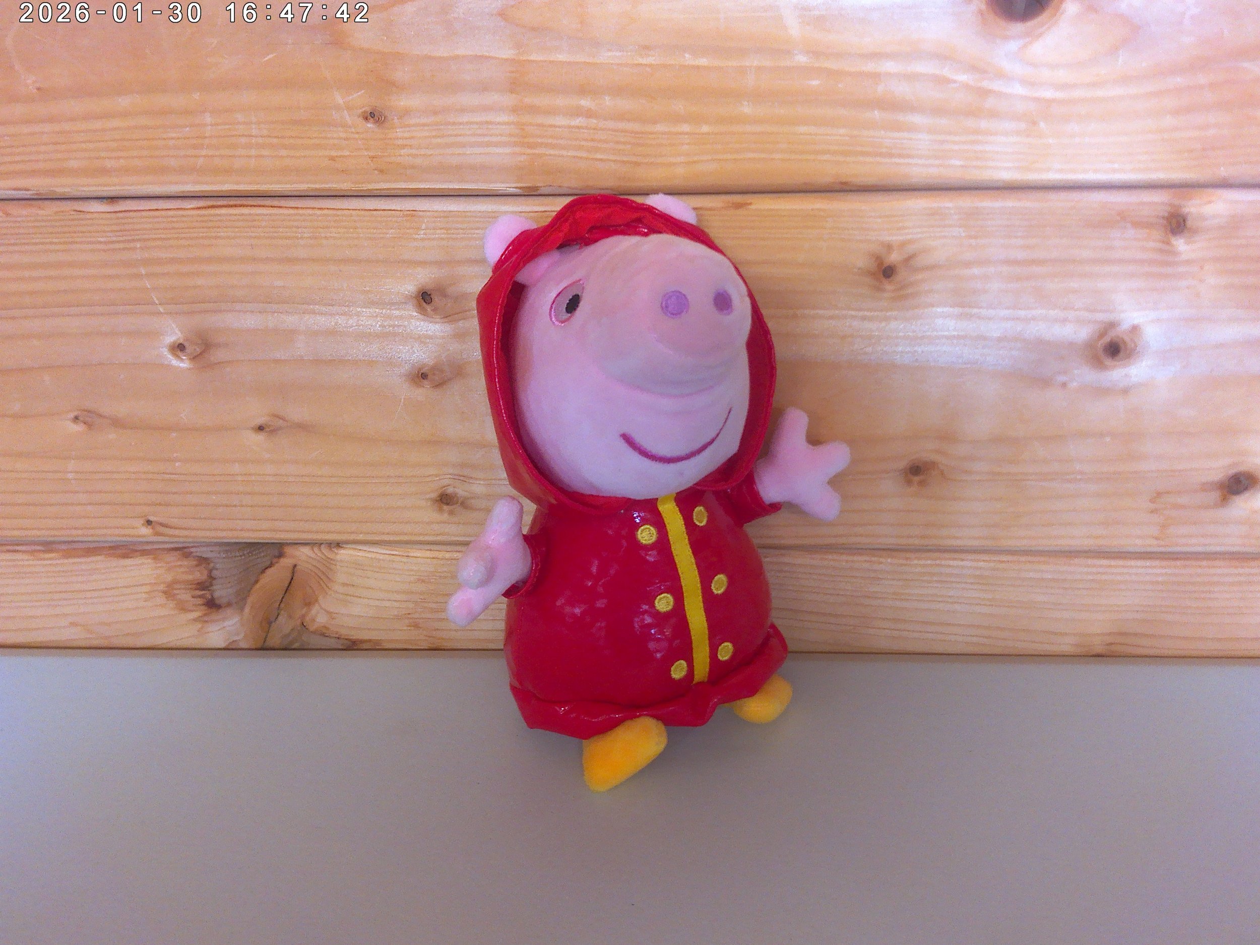 Peppa raincoat - photo 3.jpg