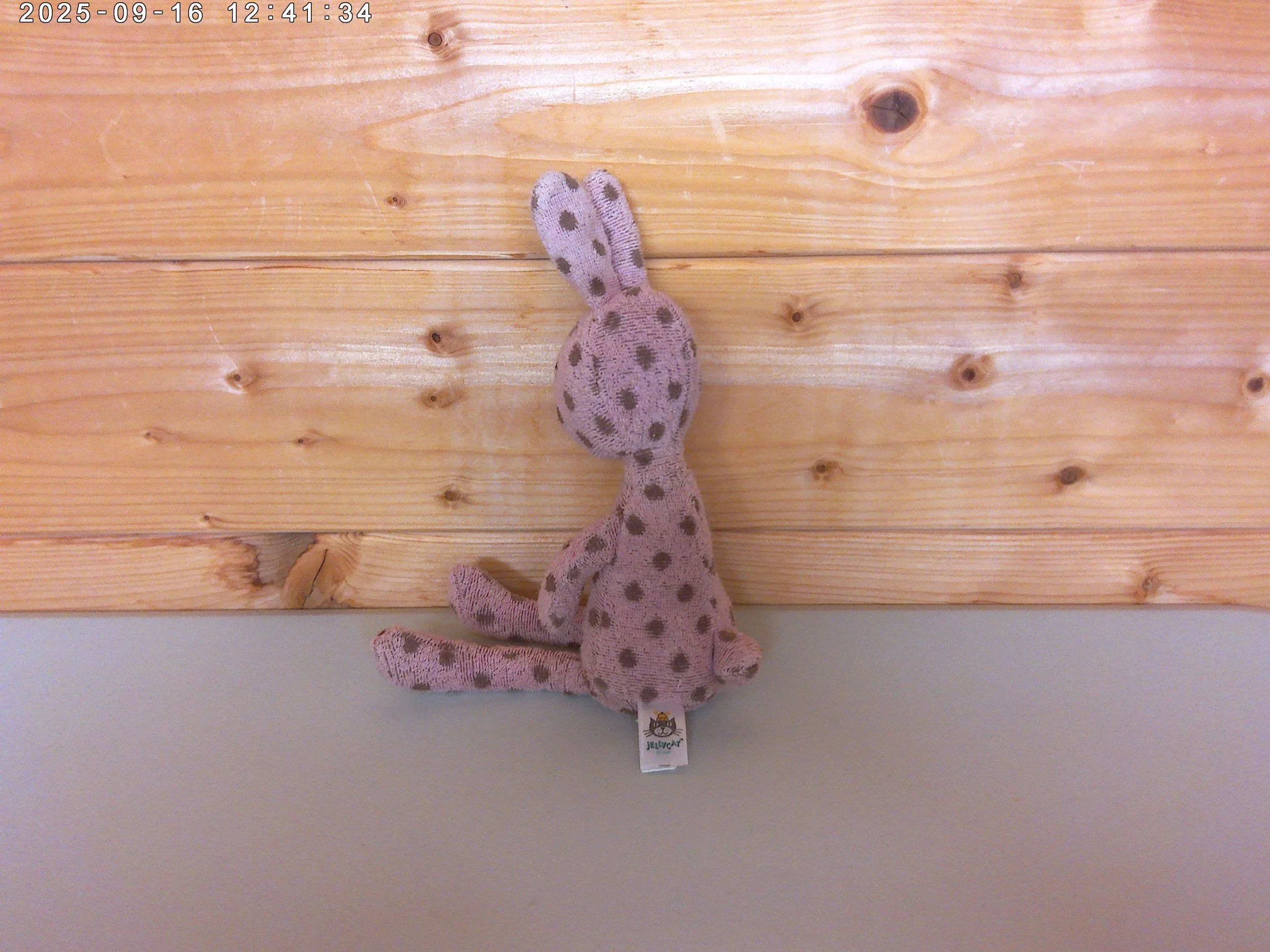 Bambina bunny - photo 2.jpg