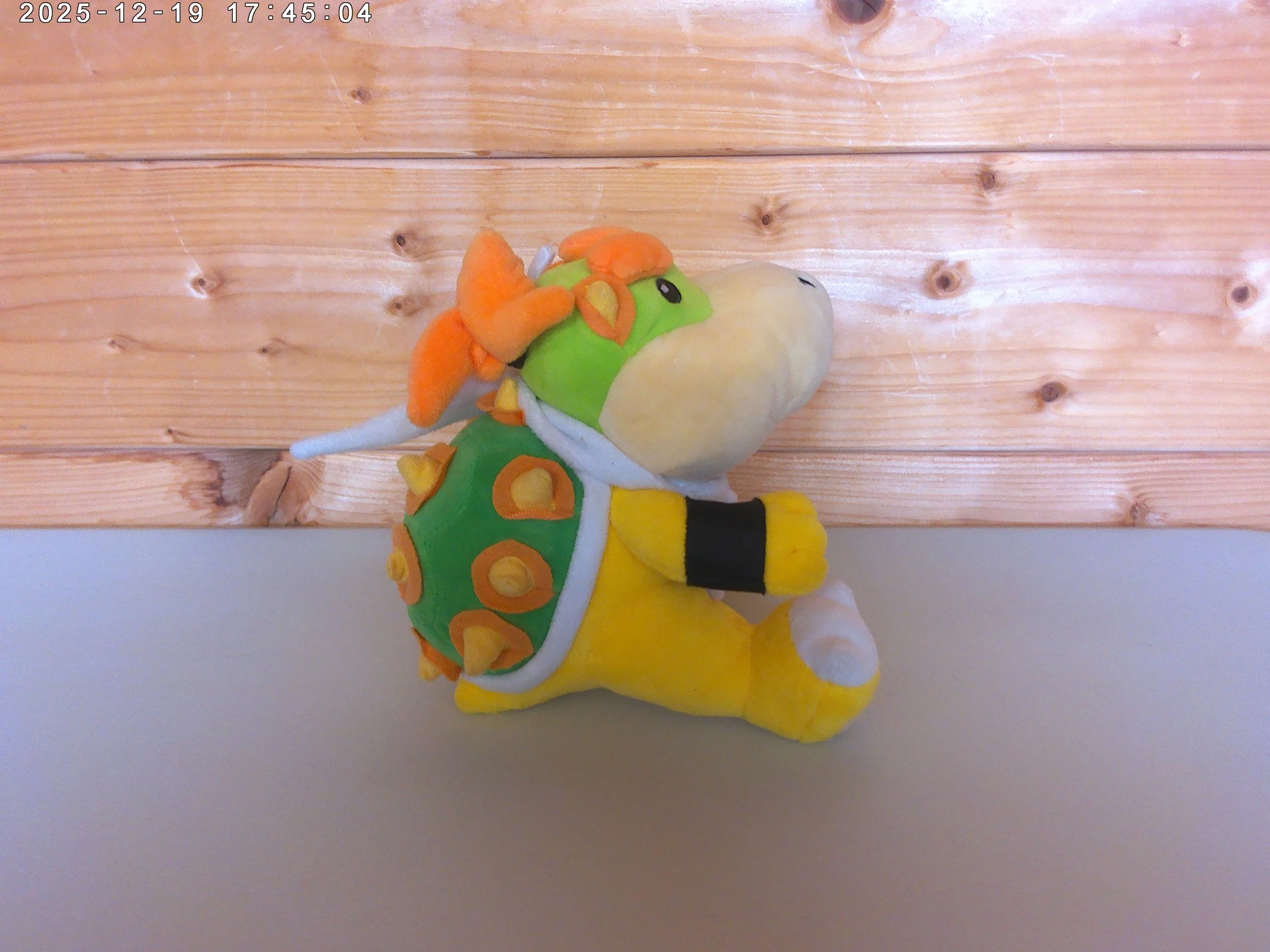 bowser junior photo 3.jpg