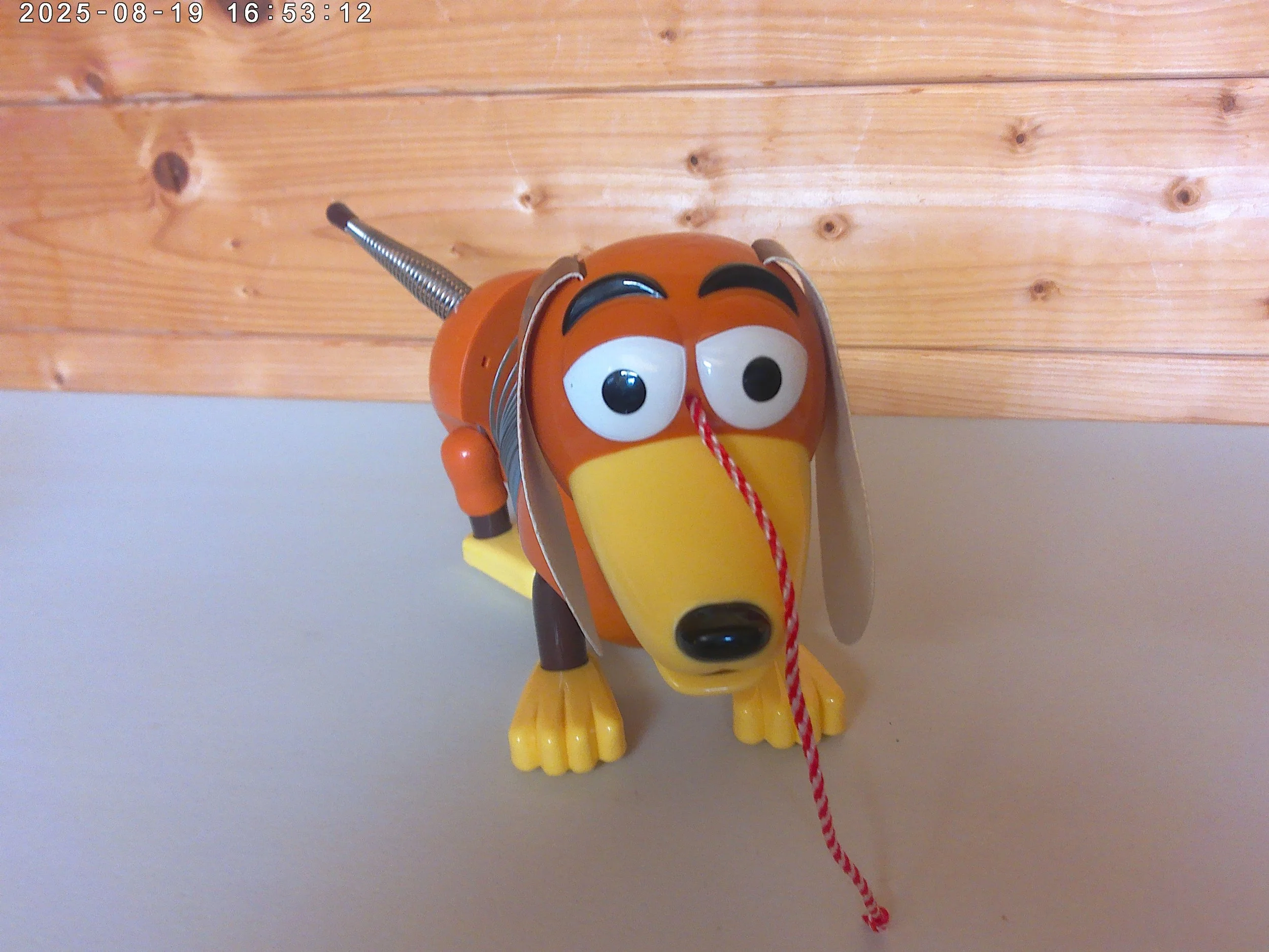 Slinky dog - photo 4.jpg