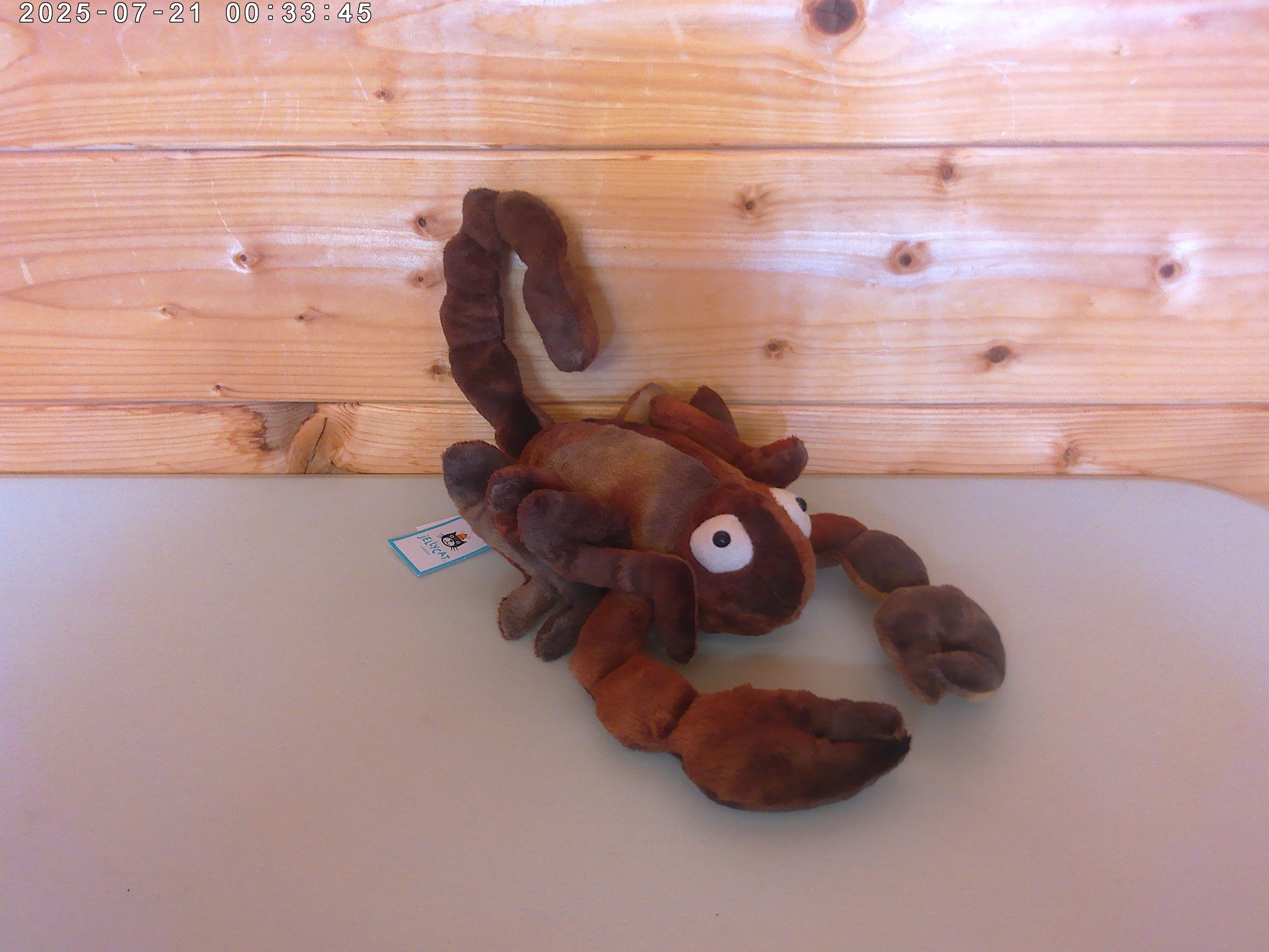 Simon Scorpion - photo 3.jpg