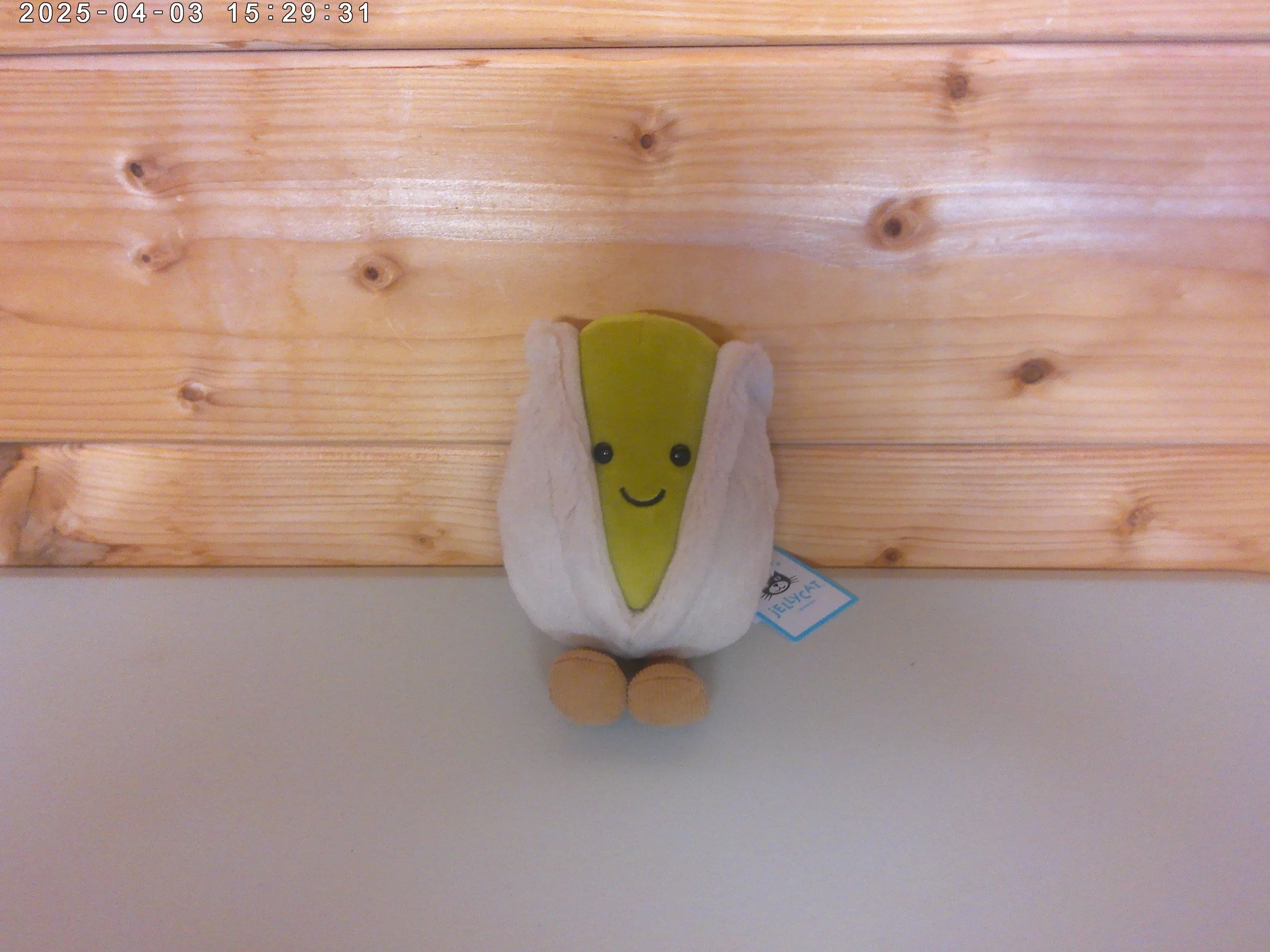 Pistachio - photo 1.jpg