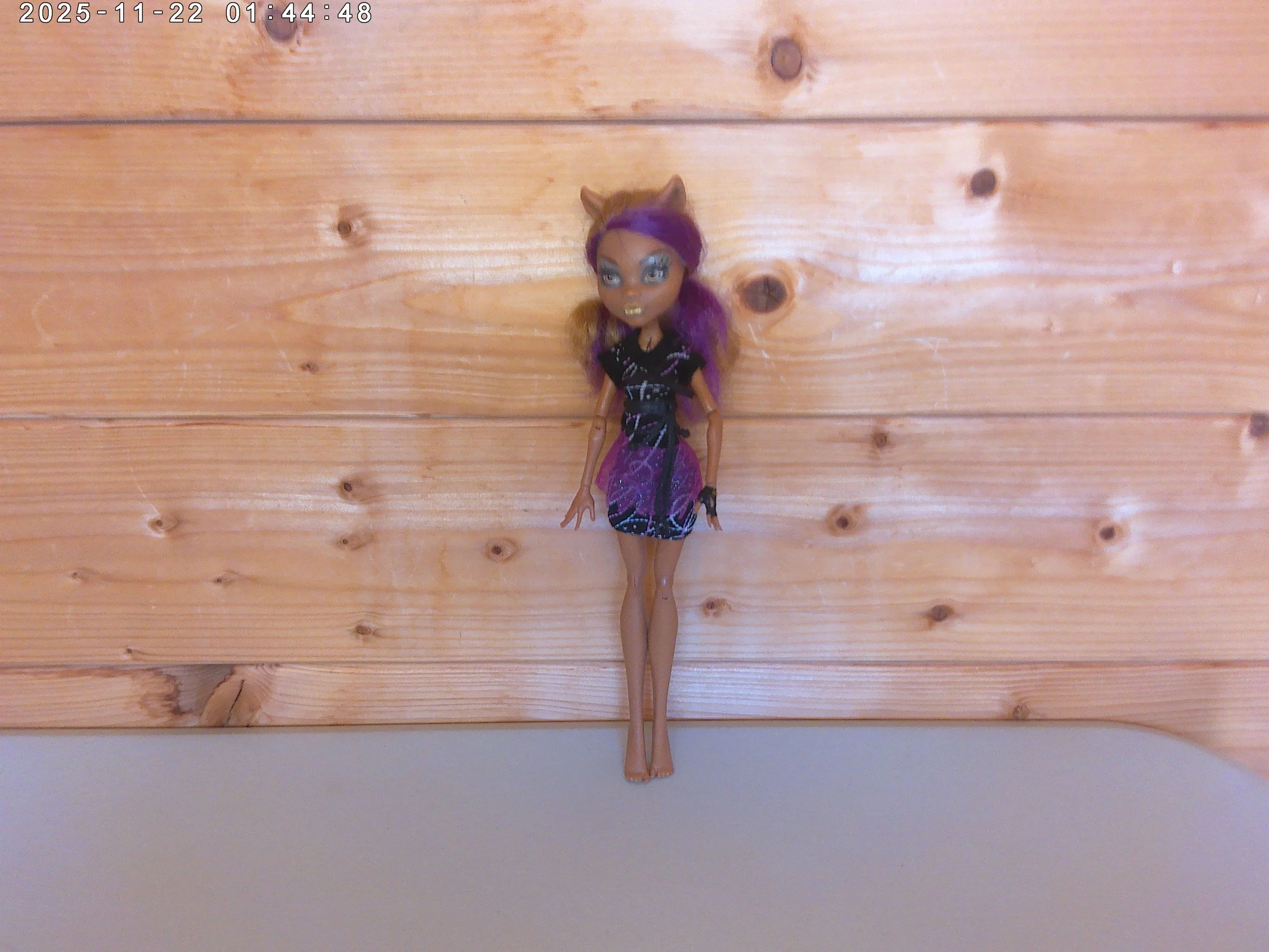 Clawdeen - photo 1.jpg