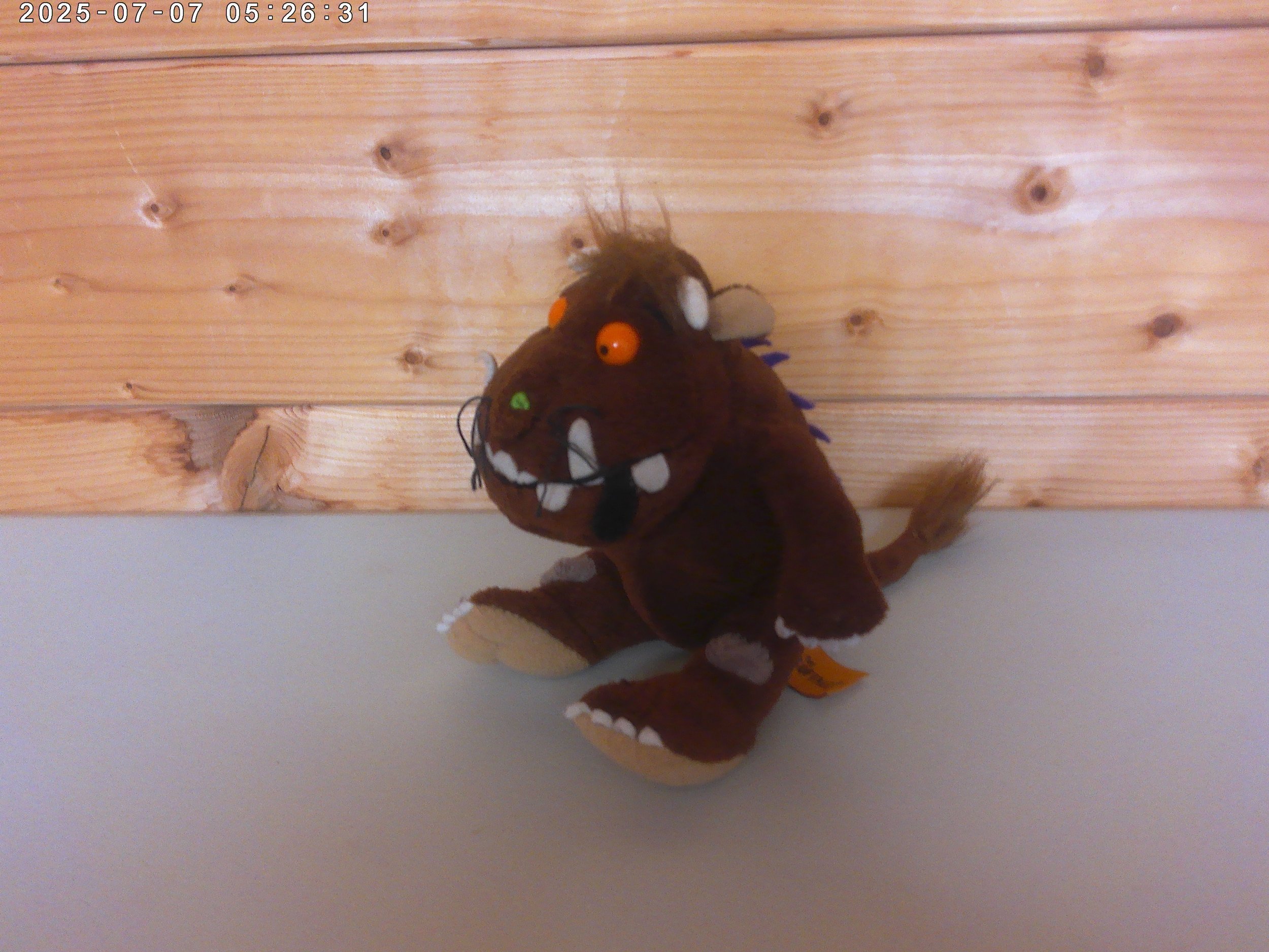 The gruffalo - photo 2.jpg