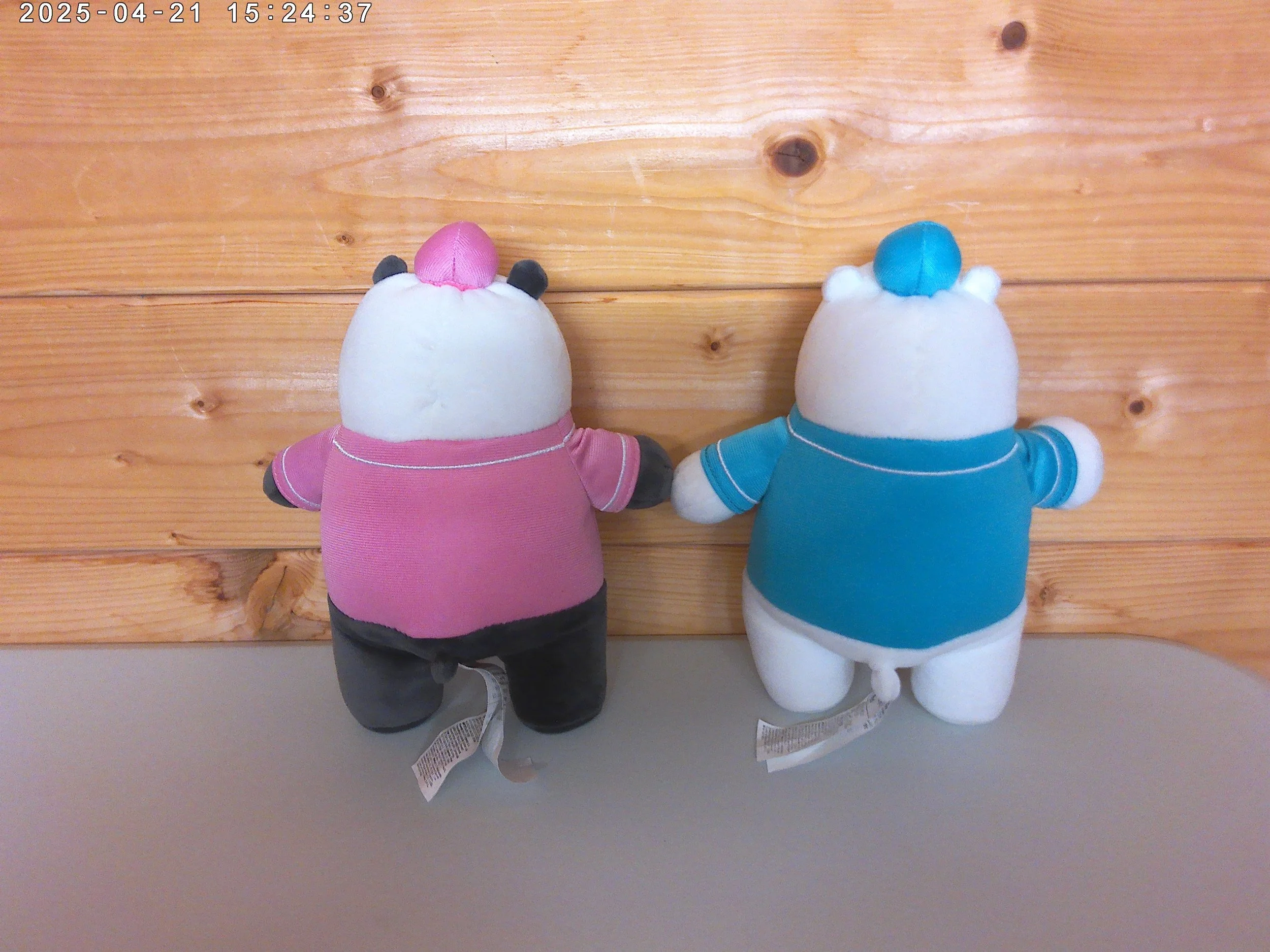 We bear bears - photo 2.jpg