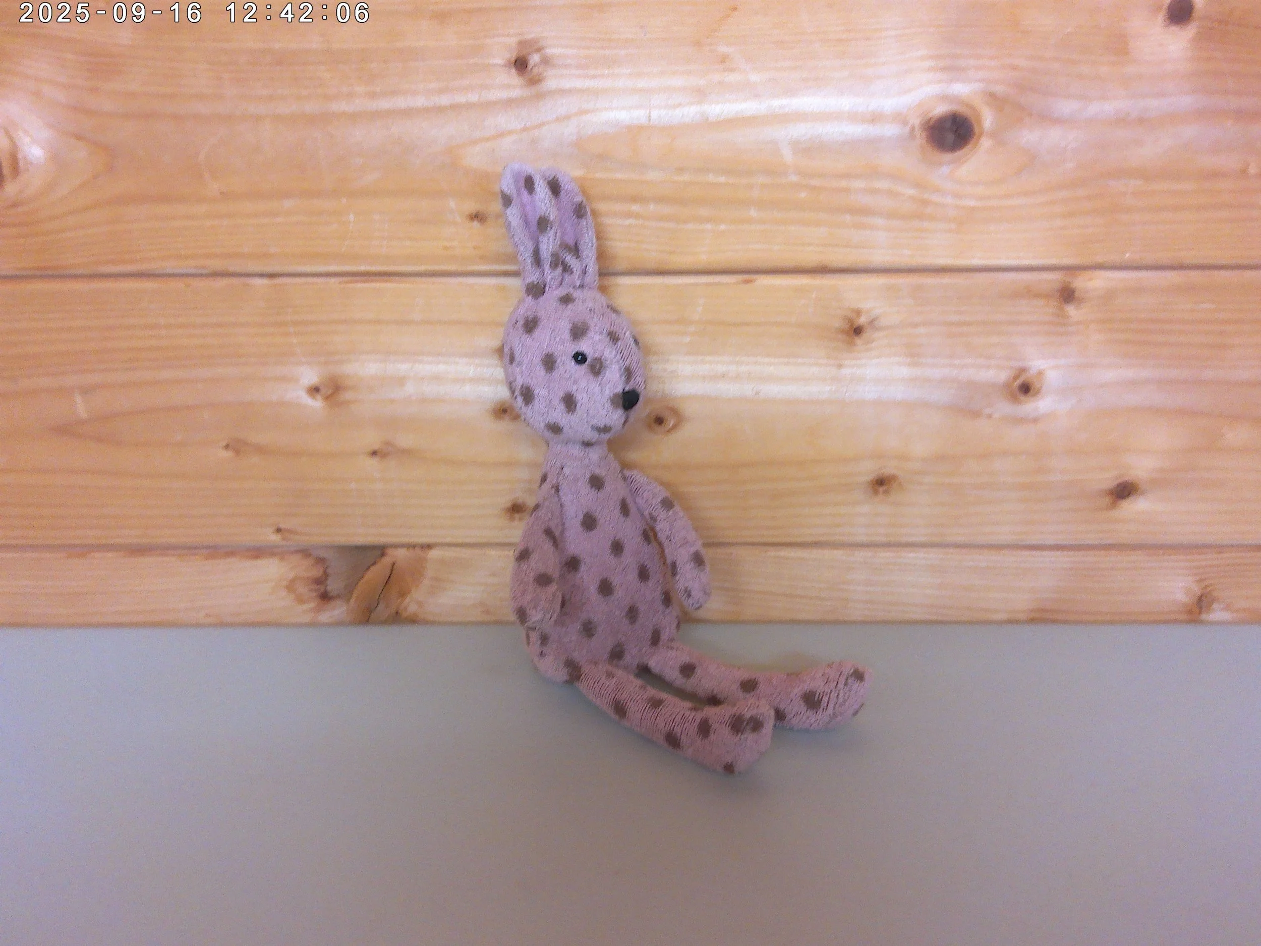 Bambina bunny - photo 3.jpg