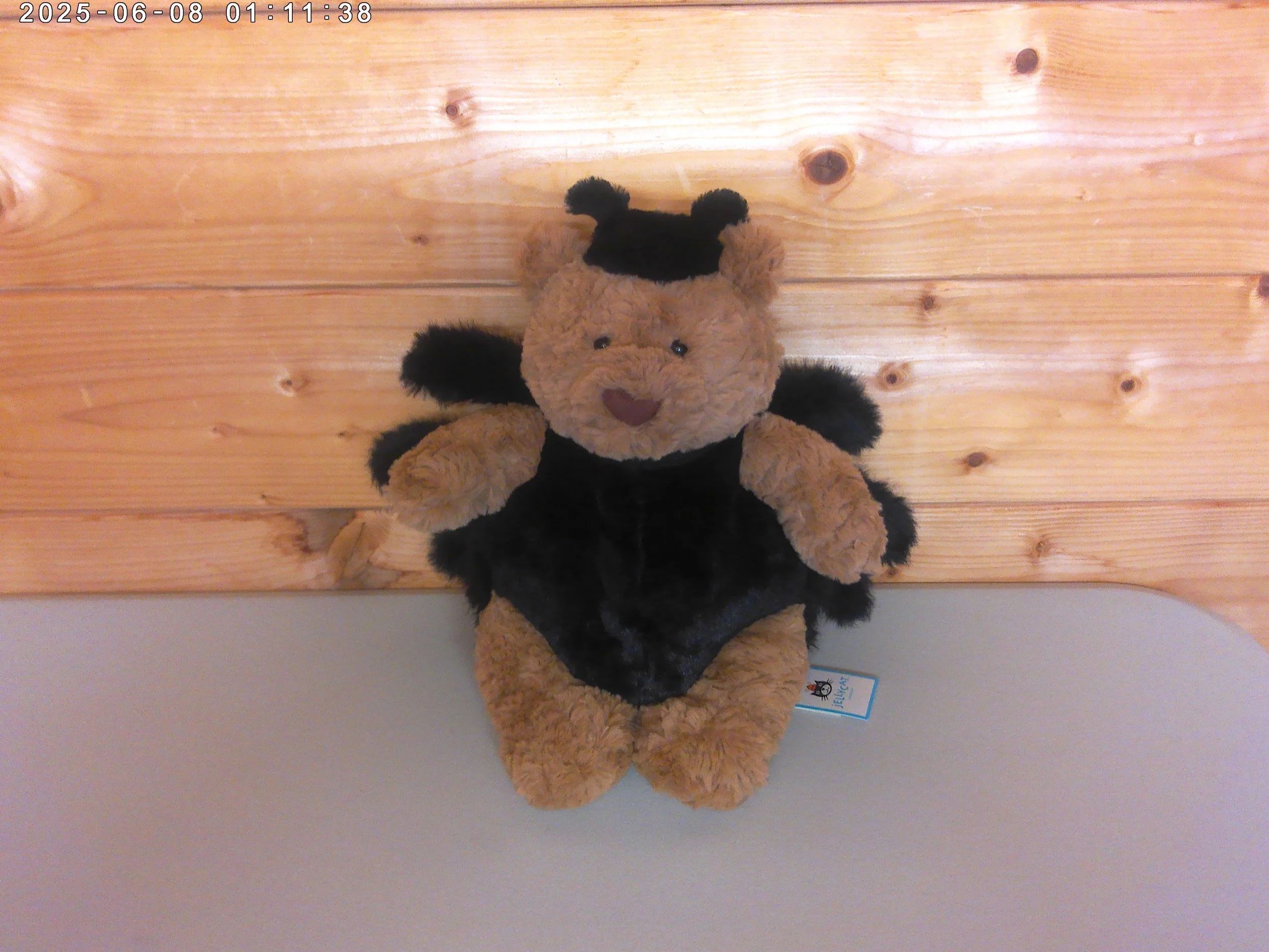 Barth spider - photo 1.jpg