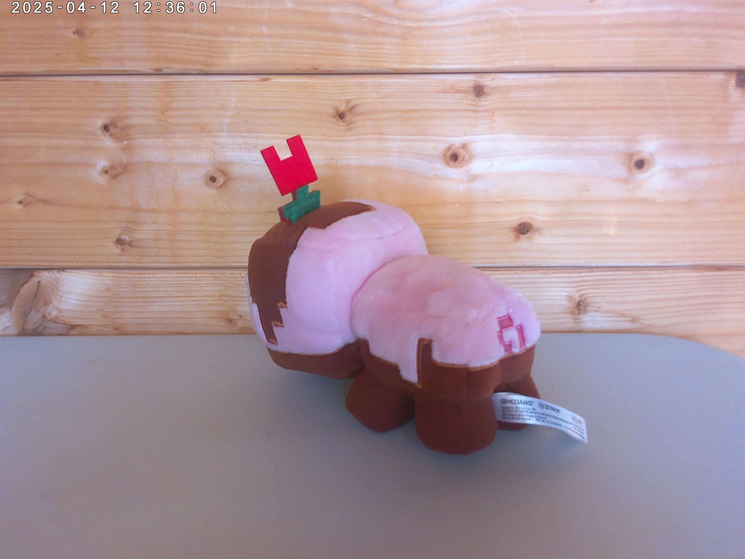 Muddy pig - photo 2.jpg