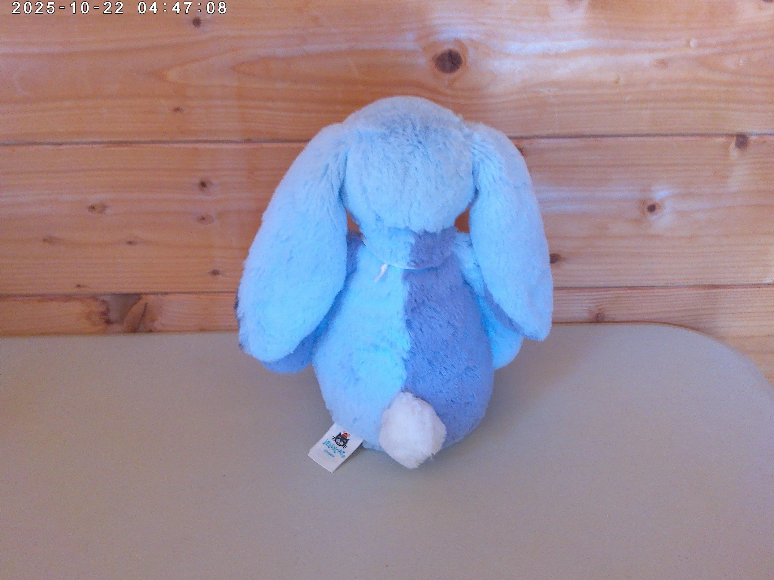 Puddlesea bunny - photo 2.jpg