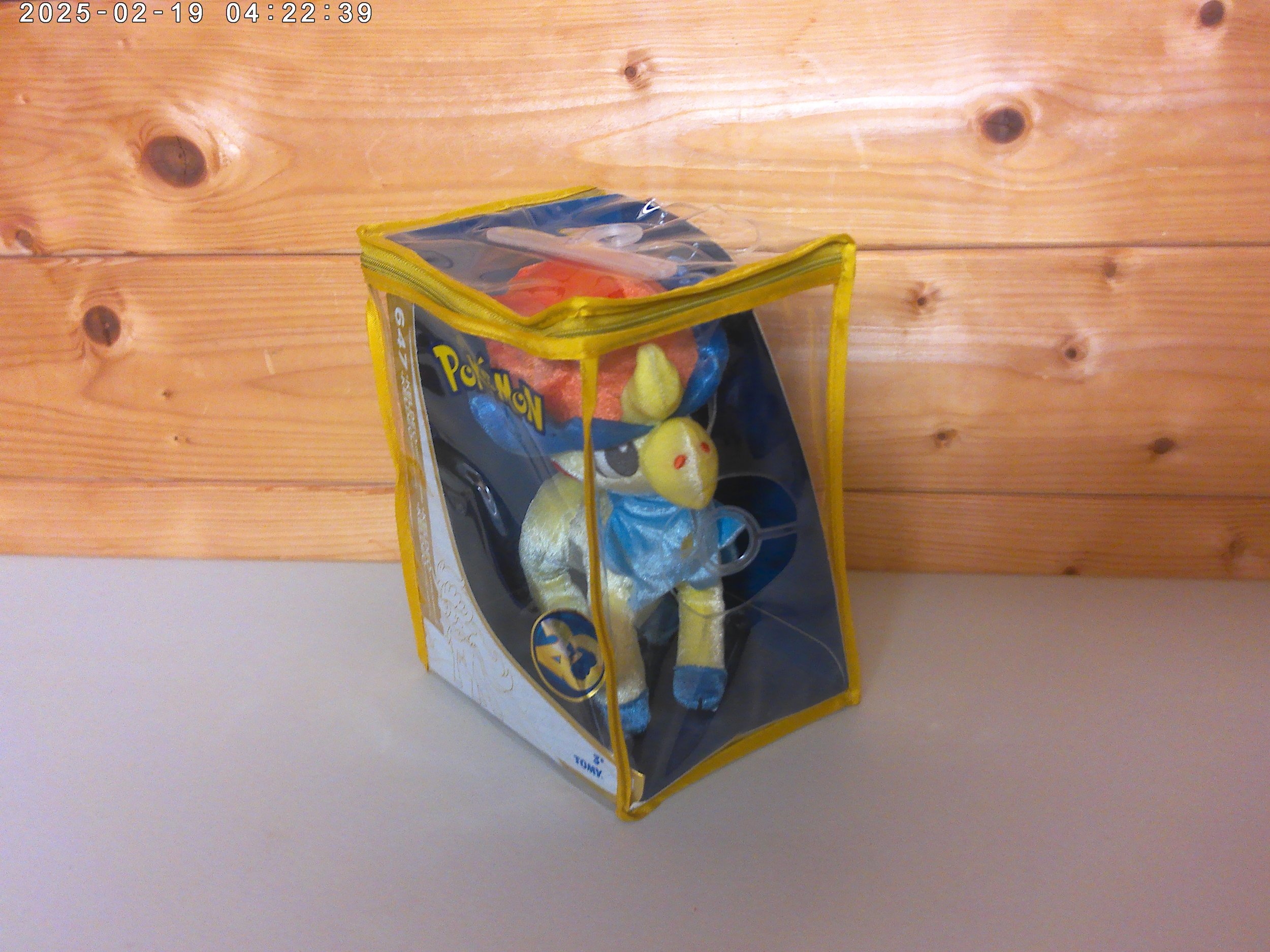 Pokemon Keldeo - photo 2.jpg