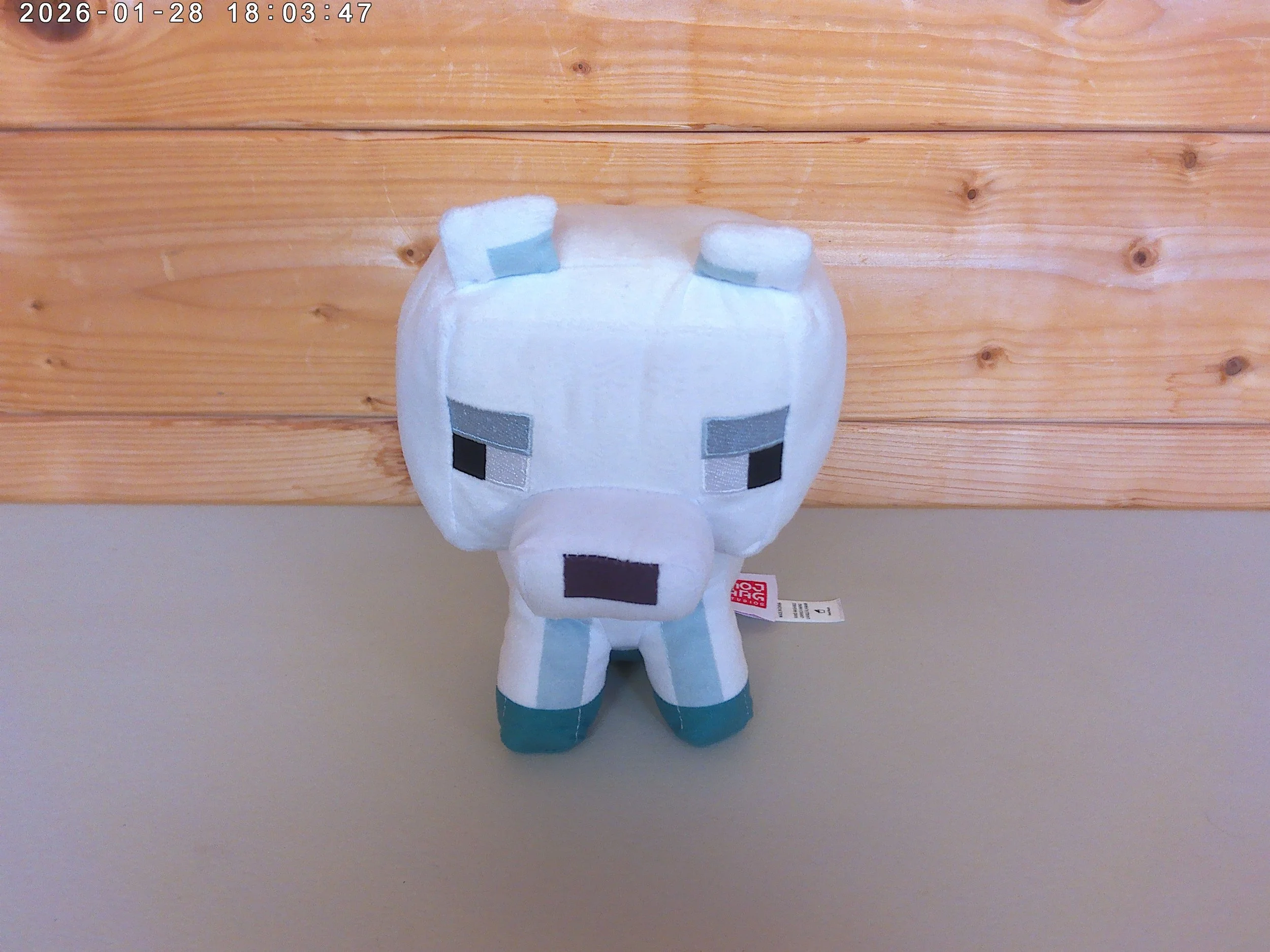 Artic Fox - photo 2.jpg