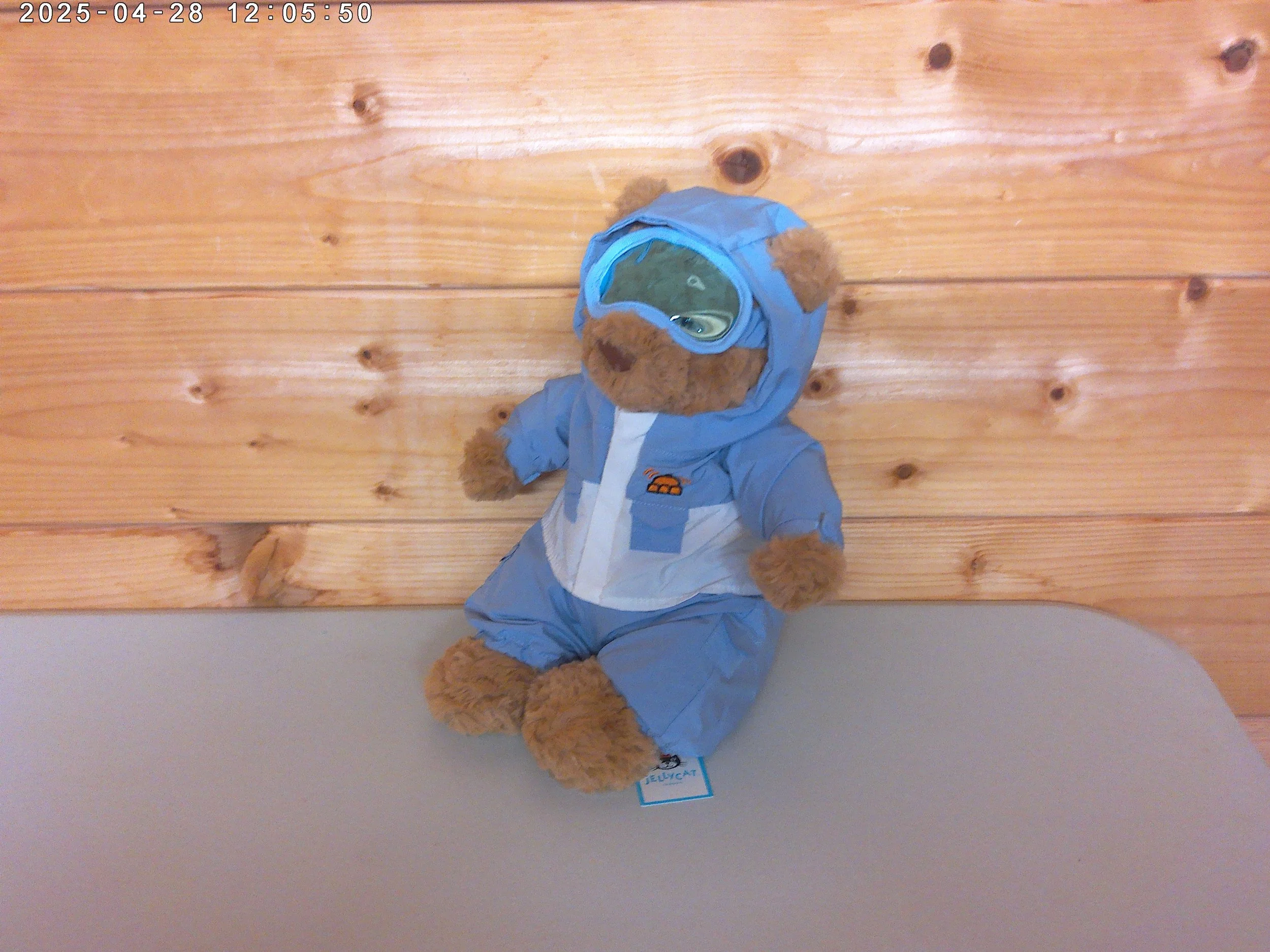 bartholomew bear snow suit photo 3.jpg