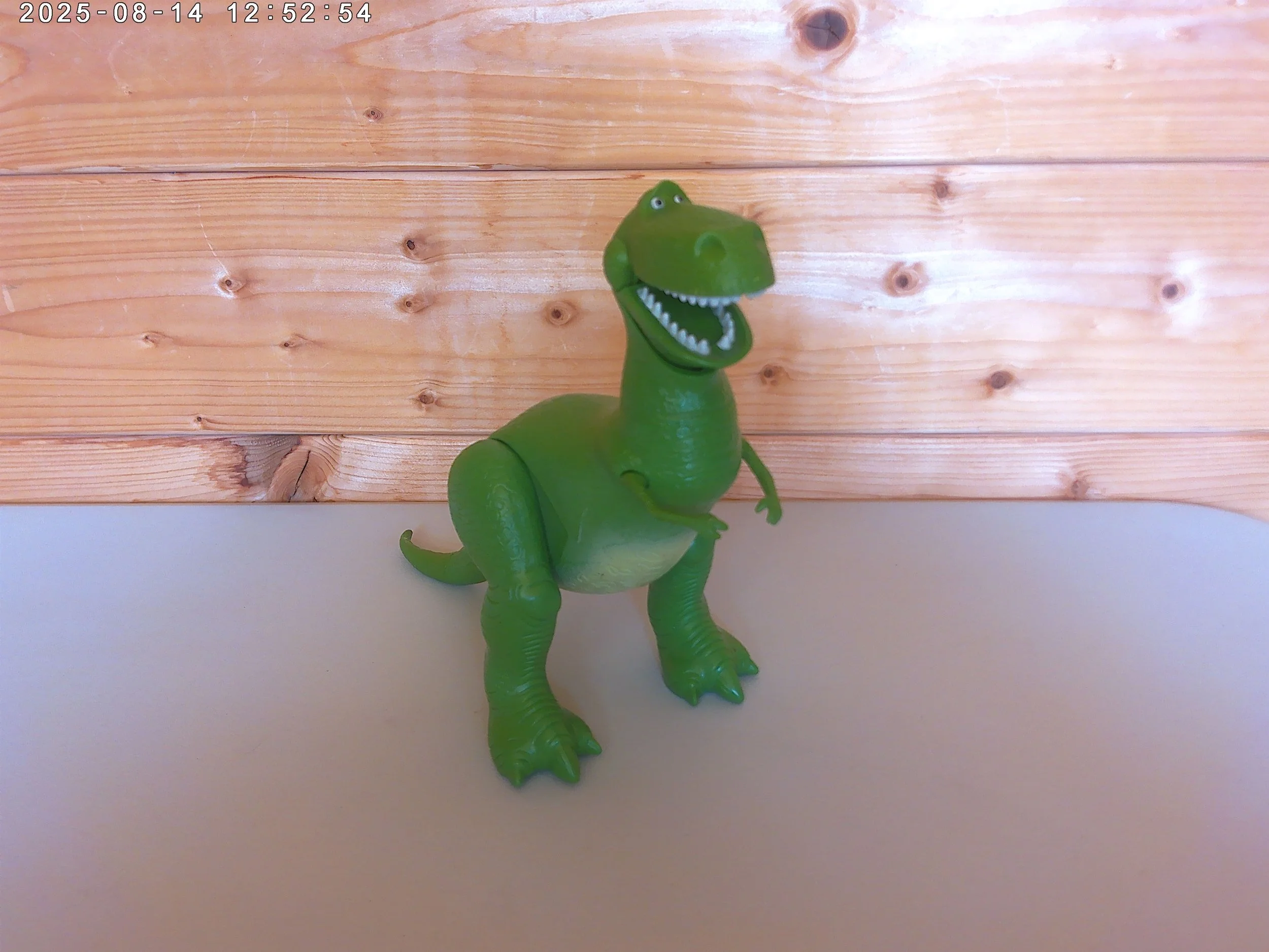 rex - photo 2.jpg